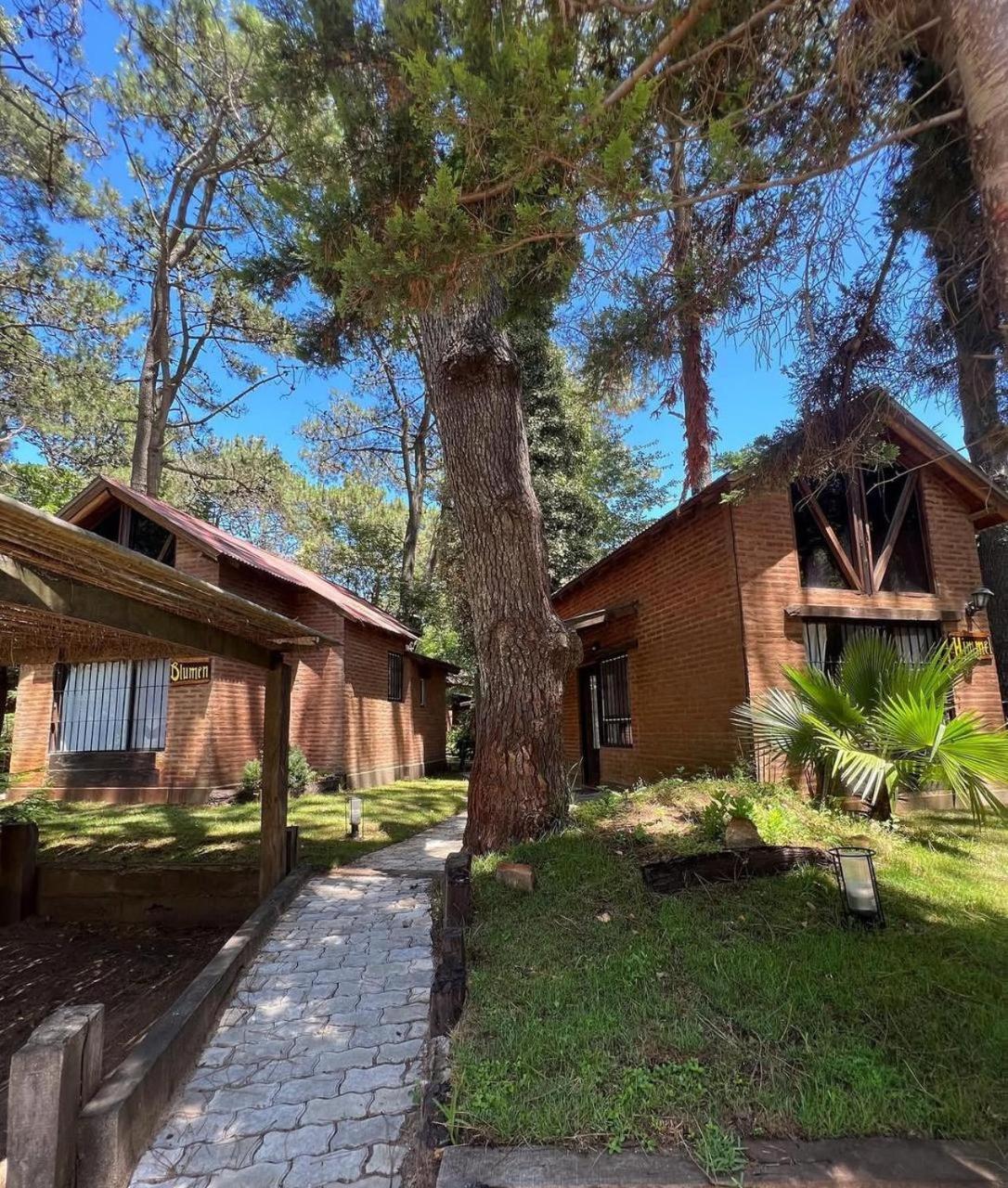 Bungalow photo 1