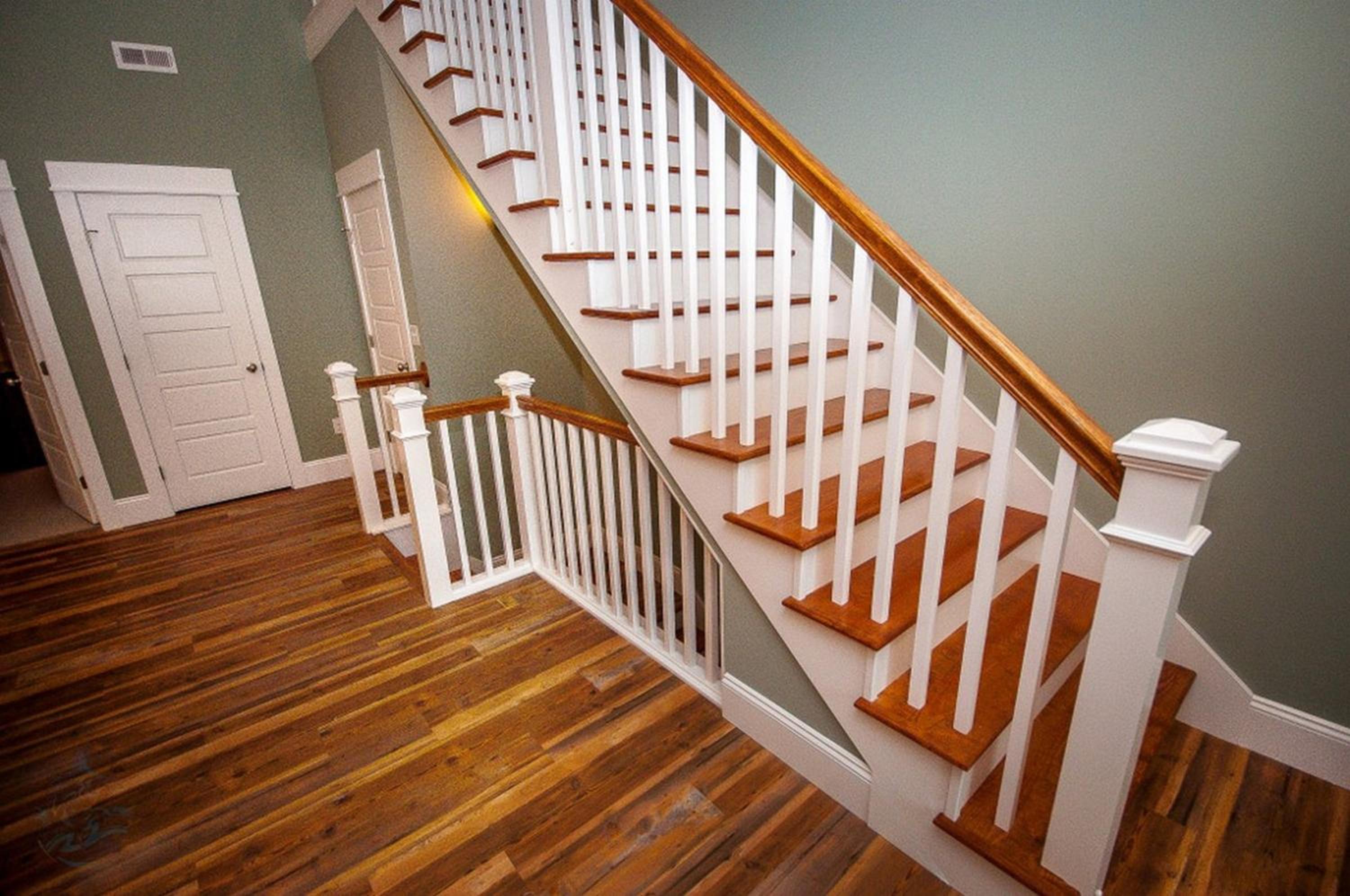 Standard Villa photo 3