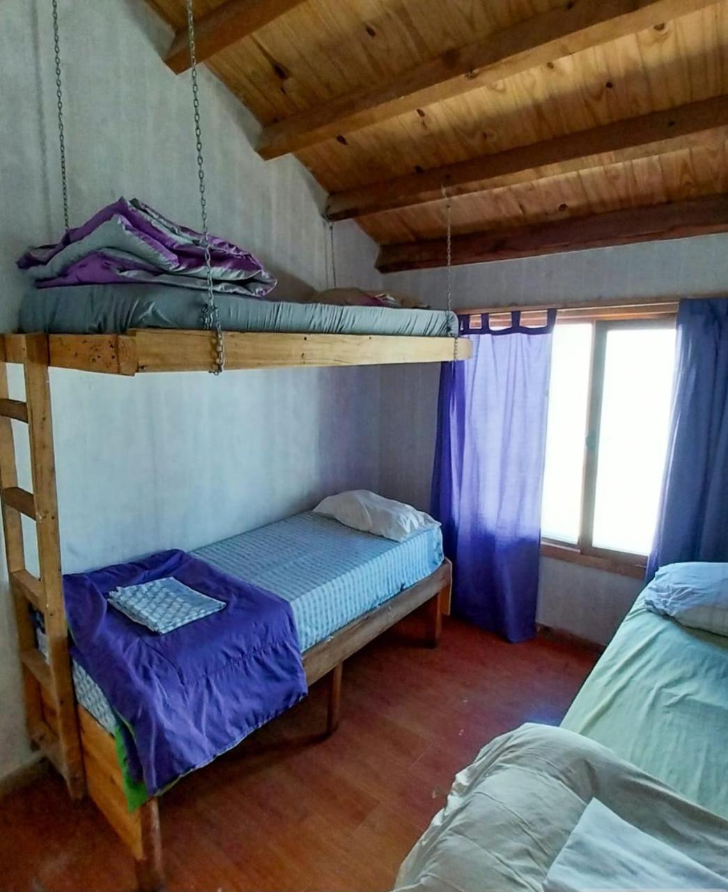 Bed in 4-Bed Mixed Dormitory Room