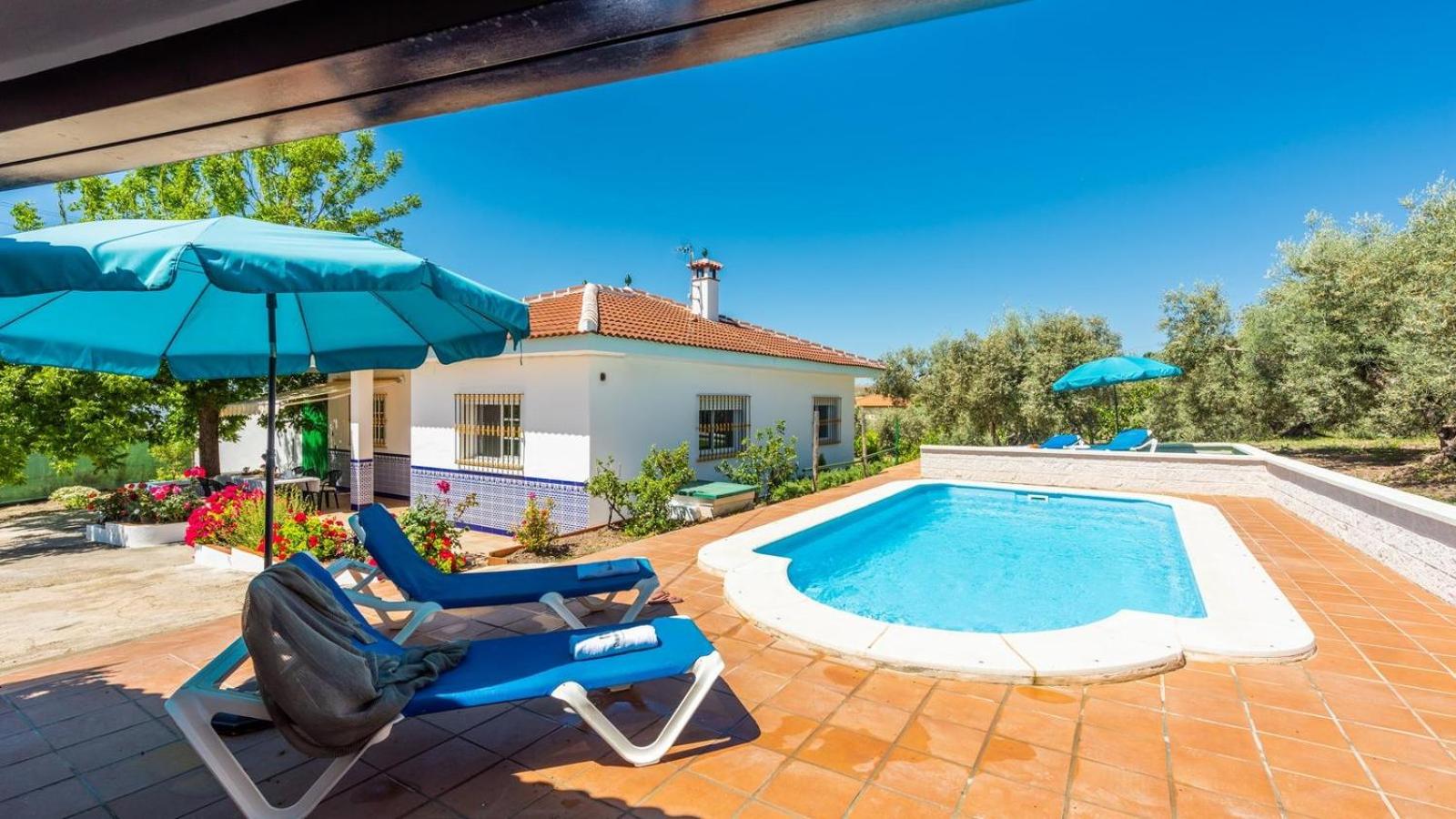 Three-Bedroom Villa photo 3