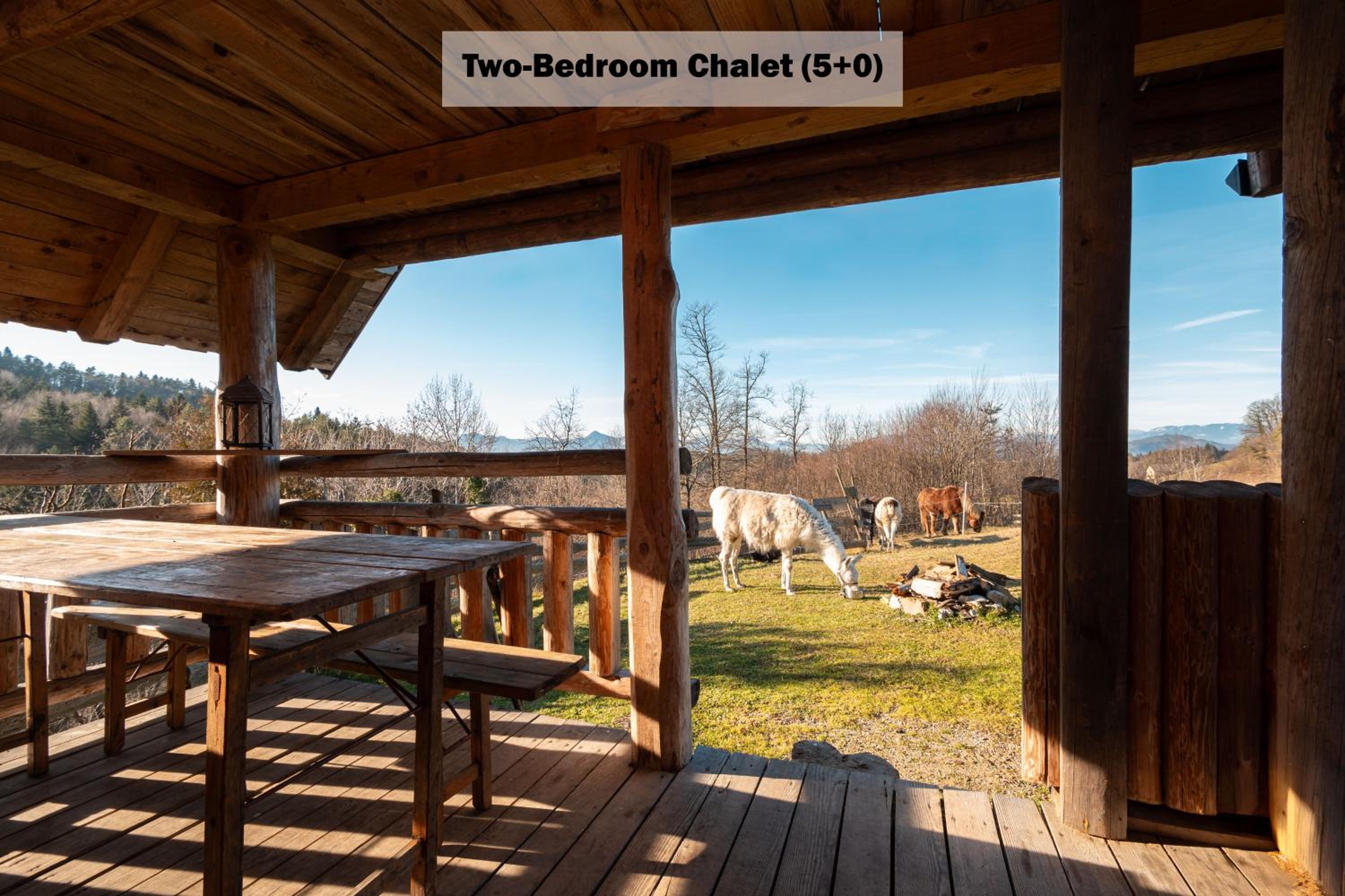 Two-Bedroom Chalet photo 2