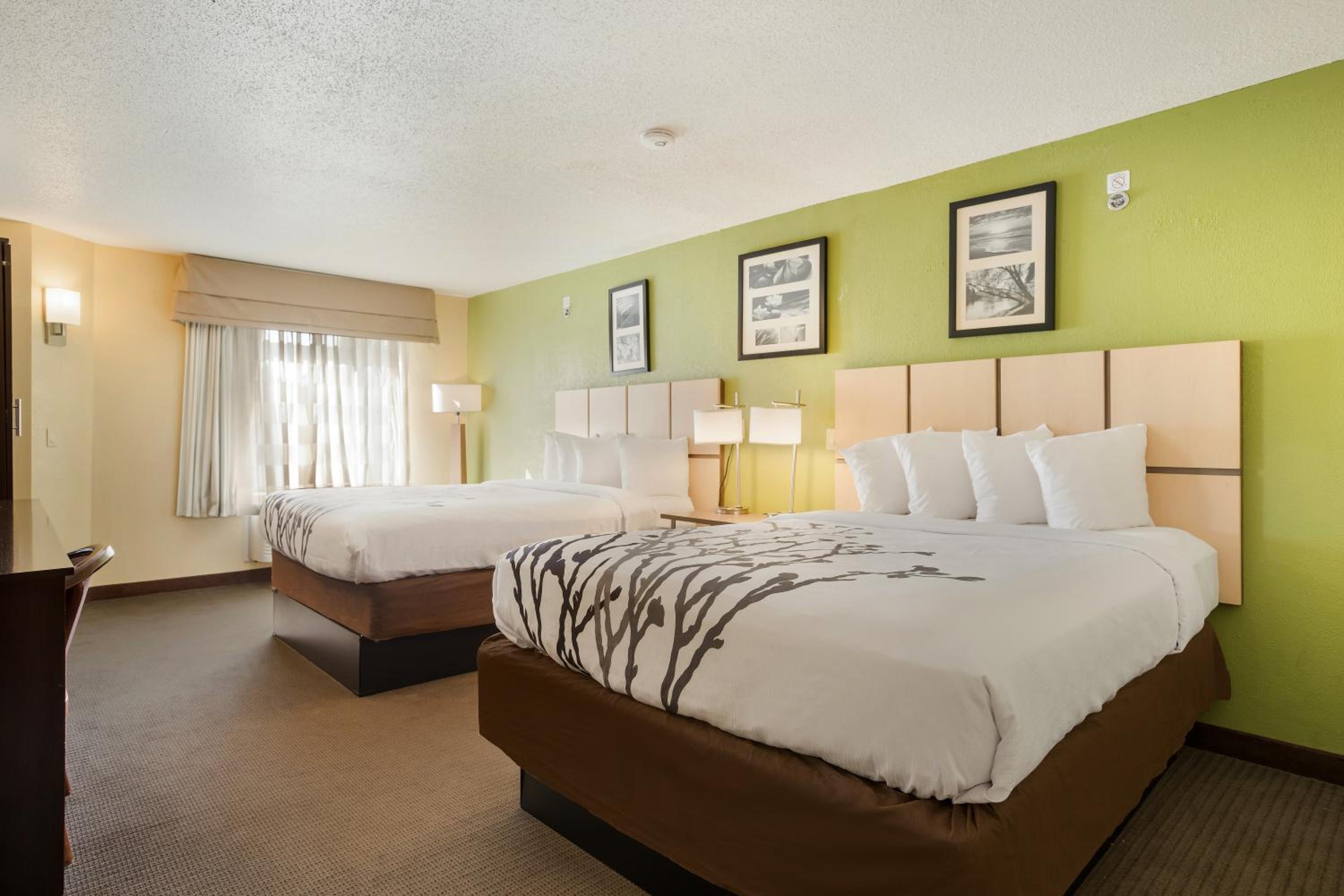 Double Room with Two Double Beds - Accessible/Non-Smoking photo 1