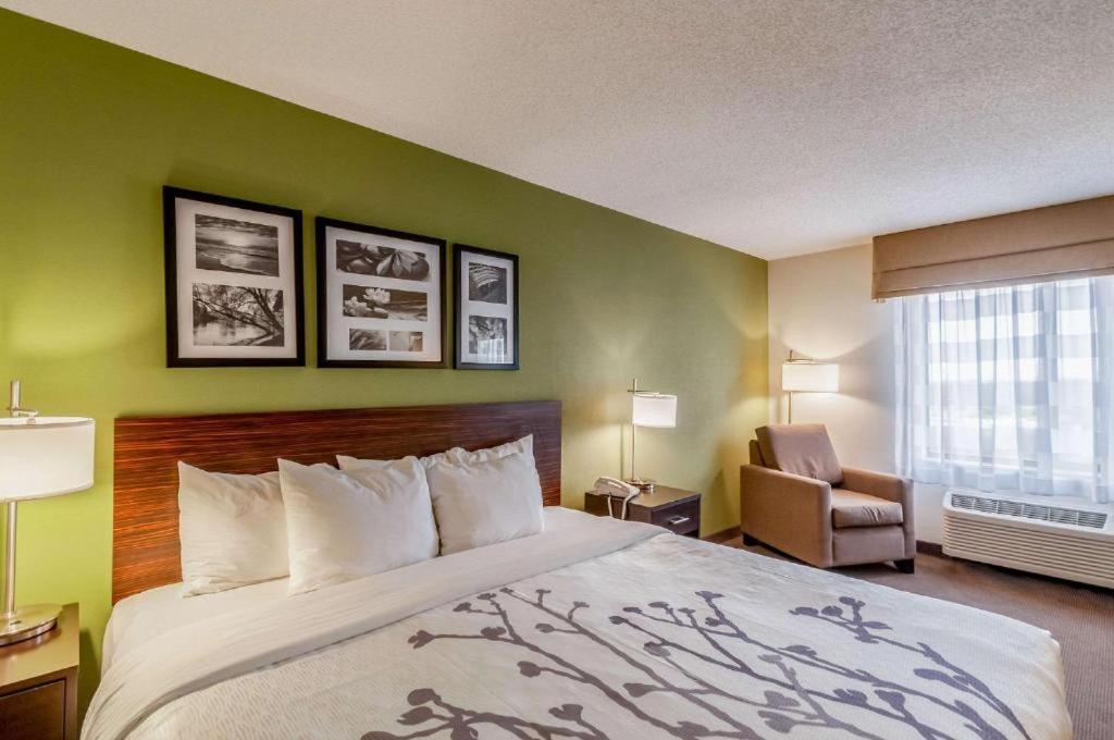 King Suite - Non-Smoking - Photo 1