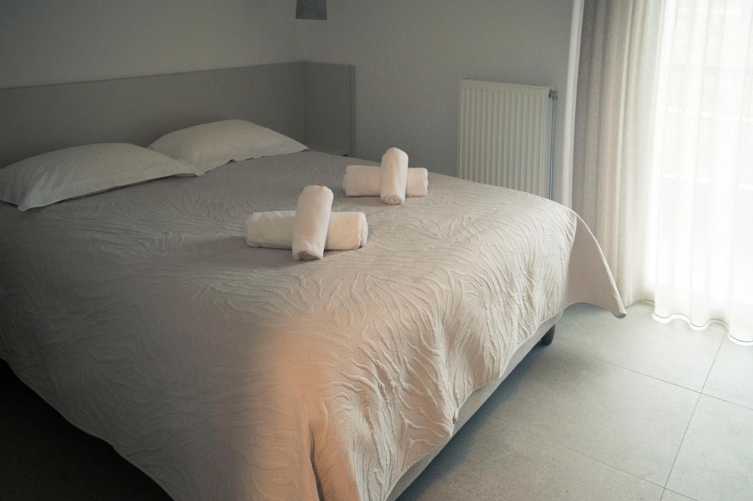 Classic One-Bedroom Apartment with King Bed photo 2