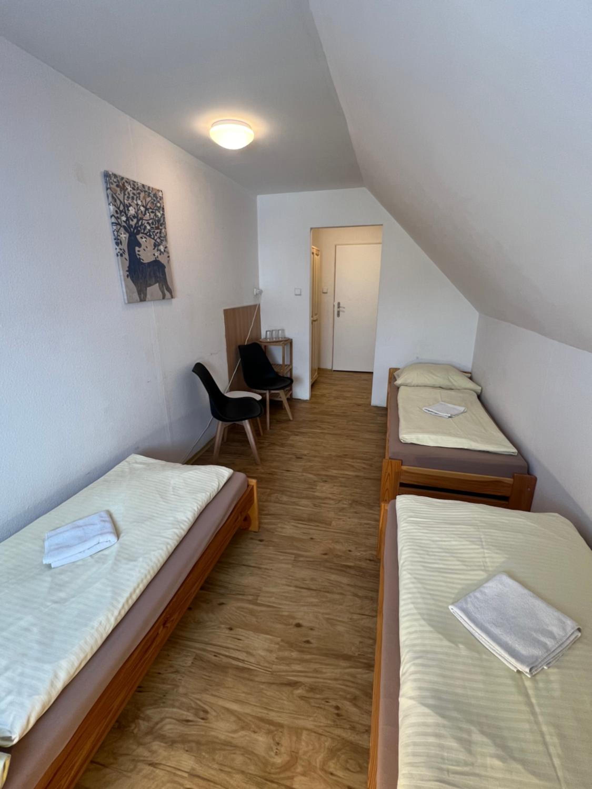 Double Room with Extra Bed photo 2