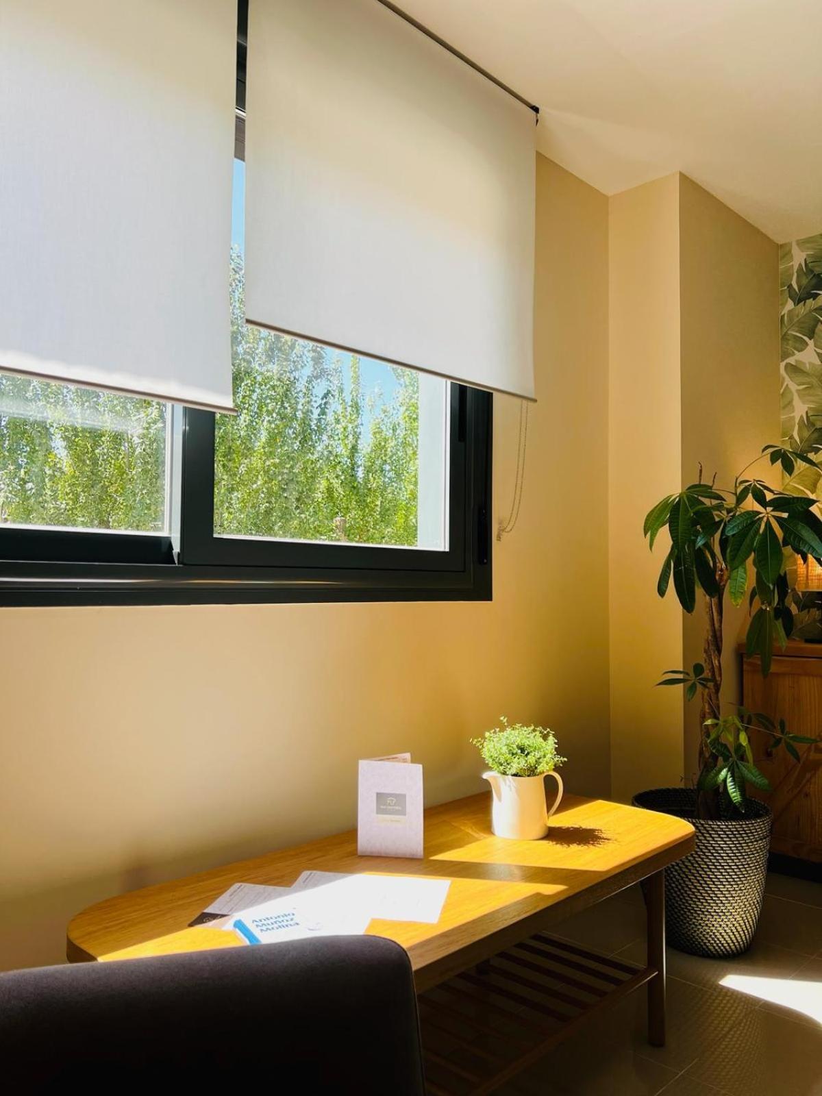 One-Bedroom Deluxe Apartment