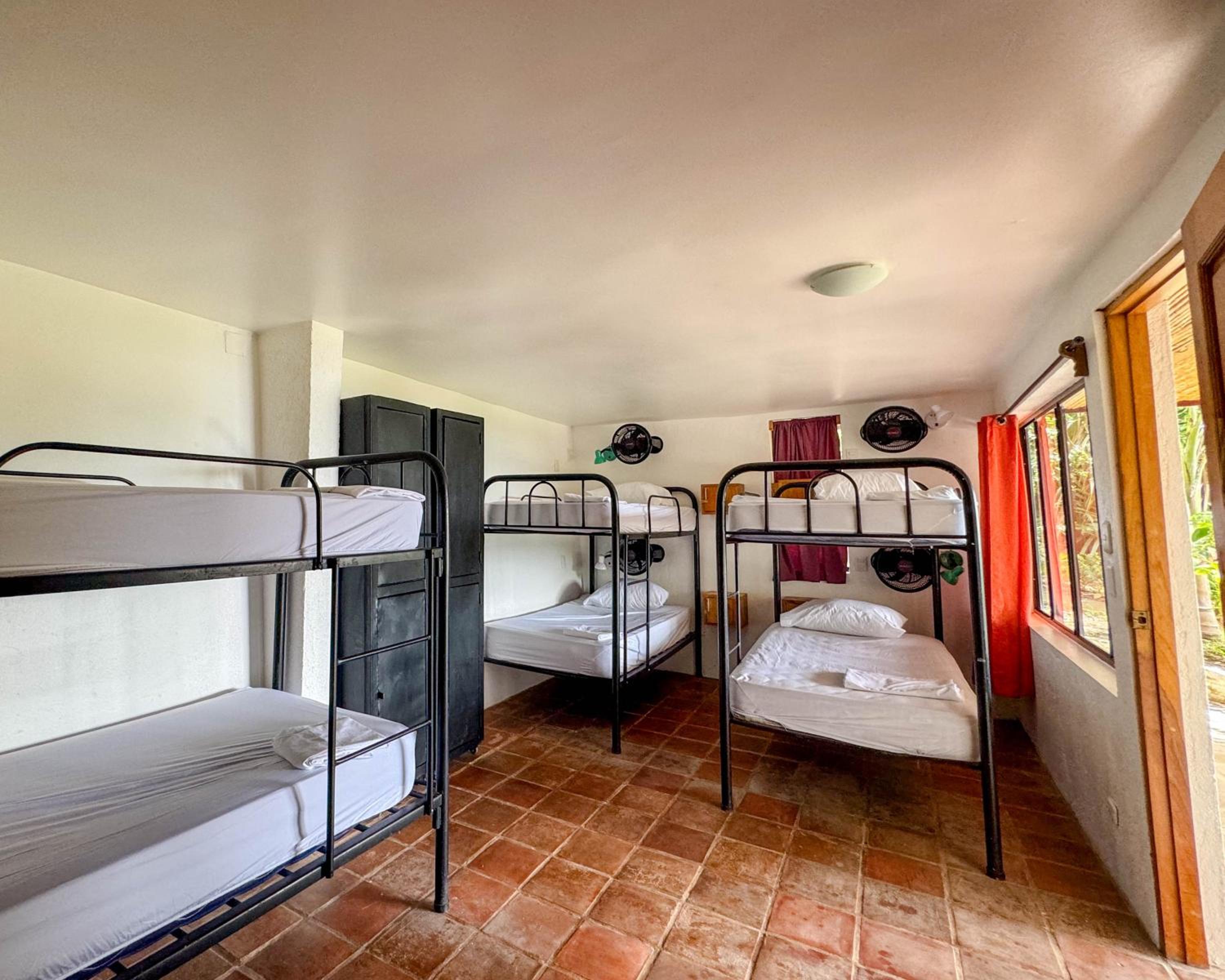 Bed in 8-Bed Mixed Dormitory Room photo 2
