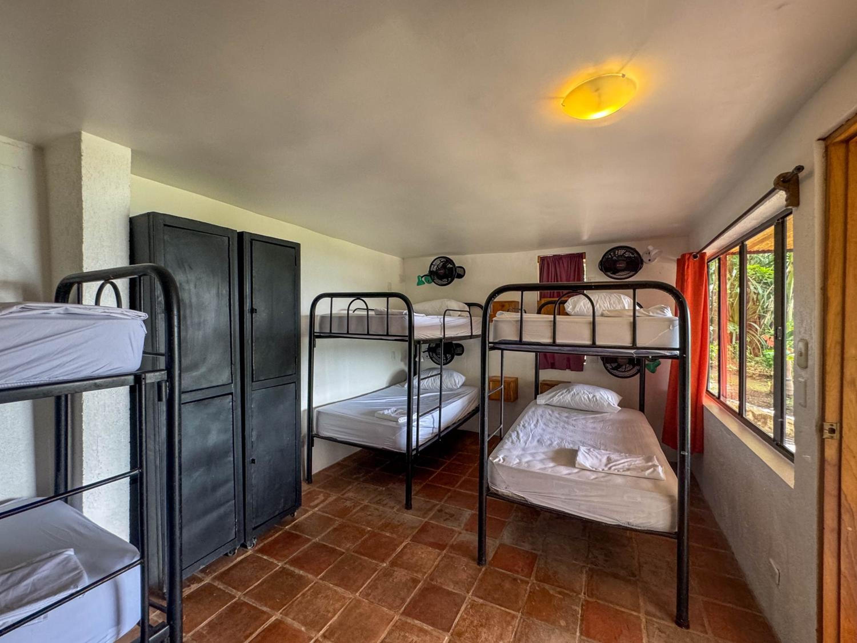 Bed in 8-Bed Mixed Dormitory Room photo 3