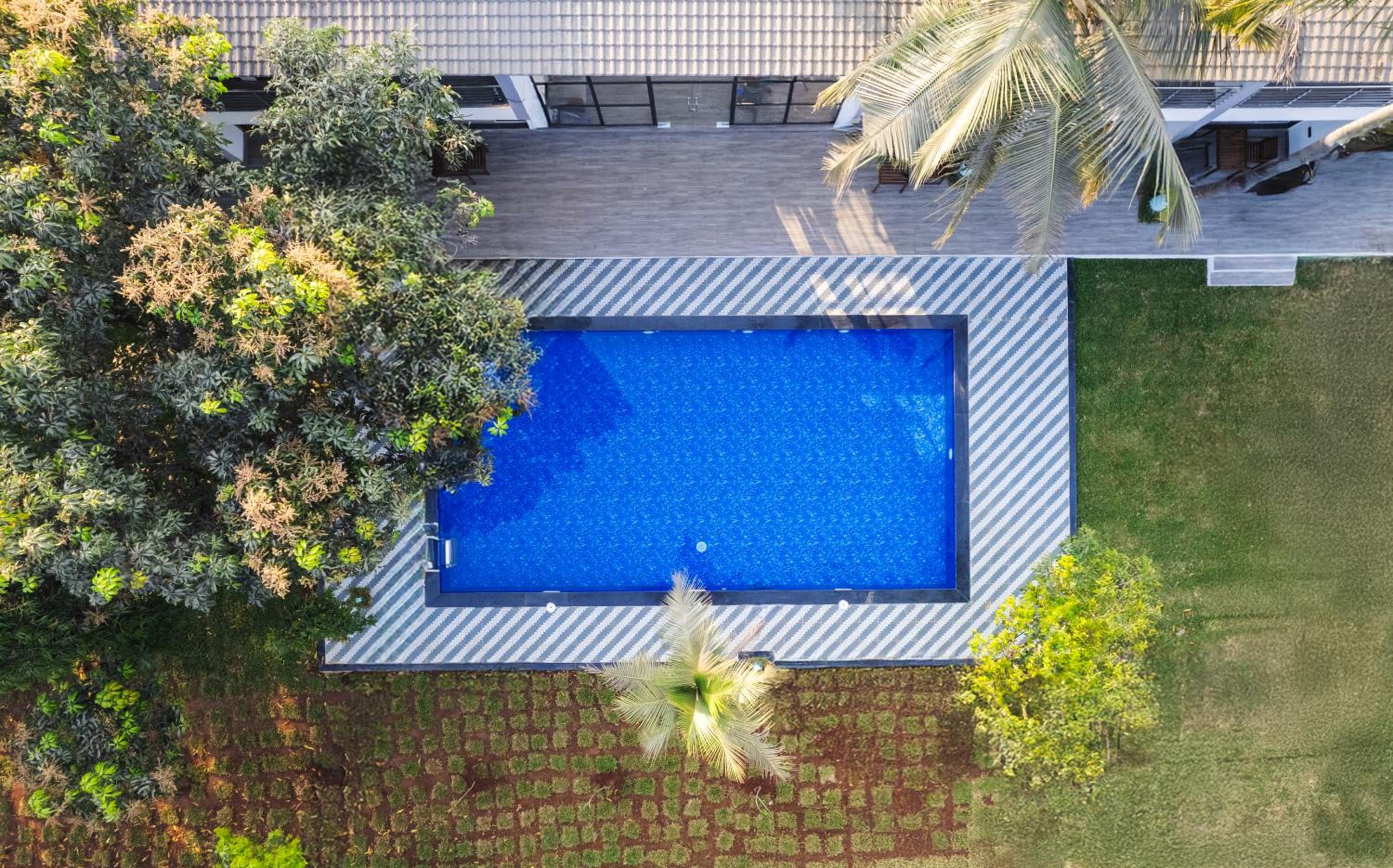 King Room with Pool View