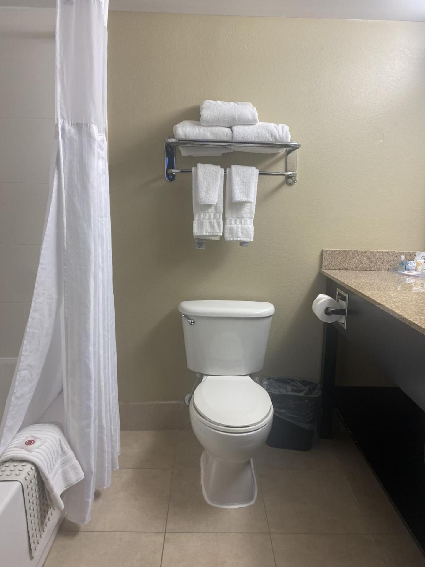 King Studio Suite - Photo 6