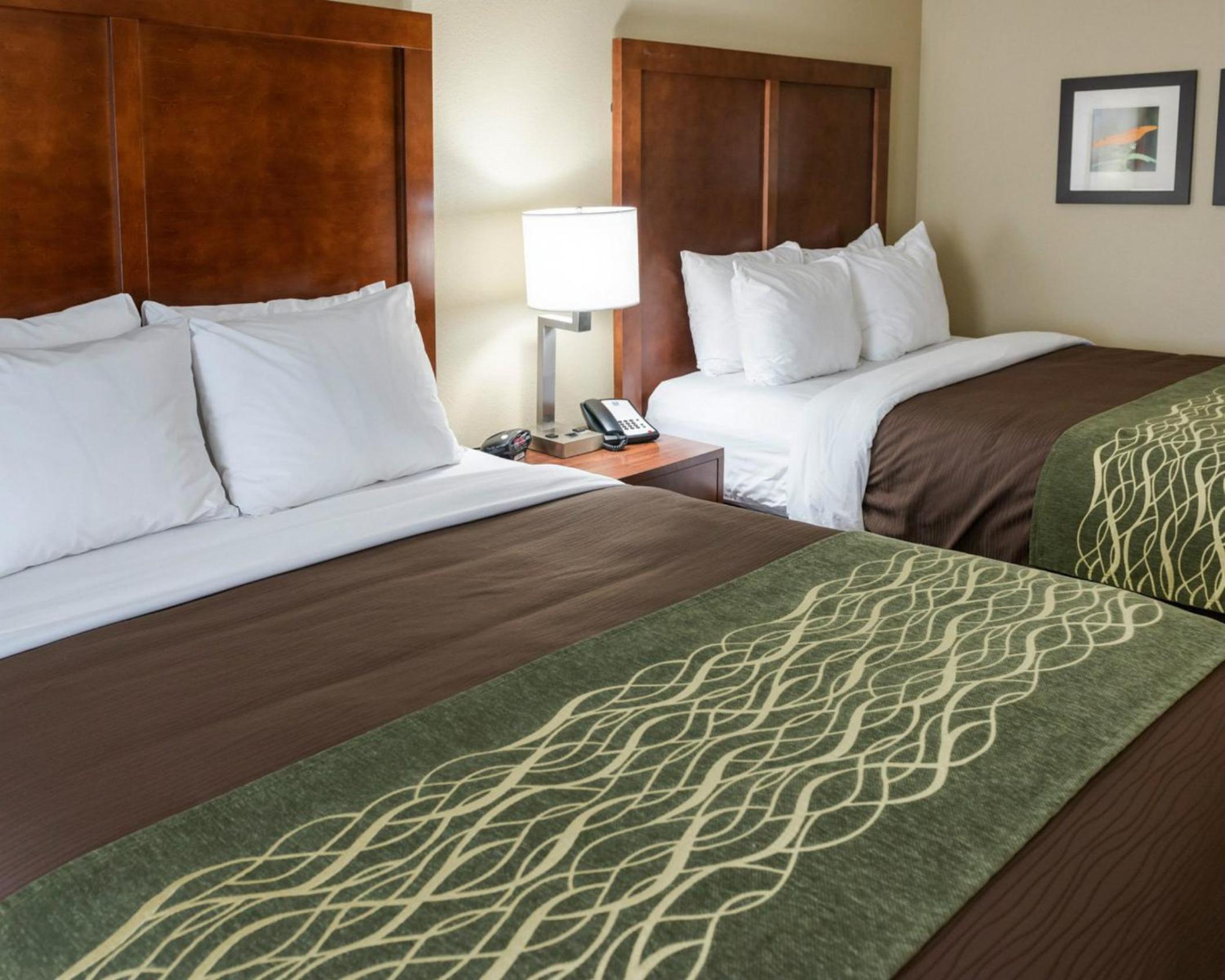 Queen Suite with Two Queen Beds - Non Smoking