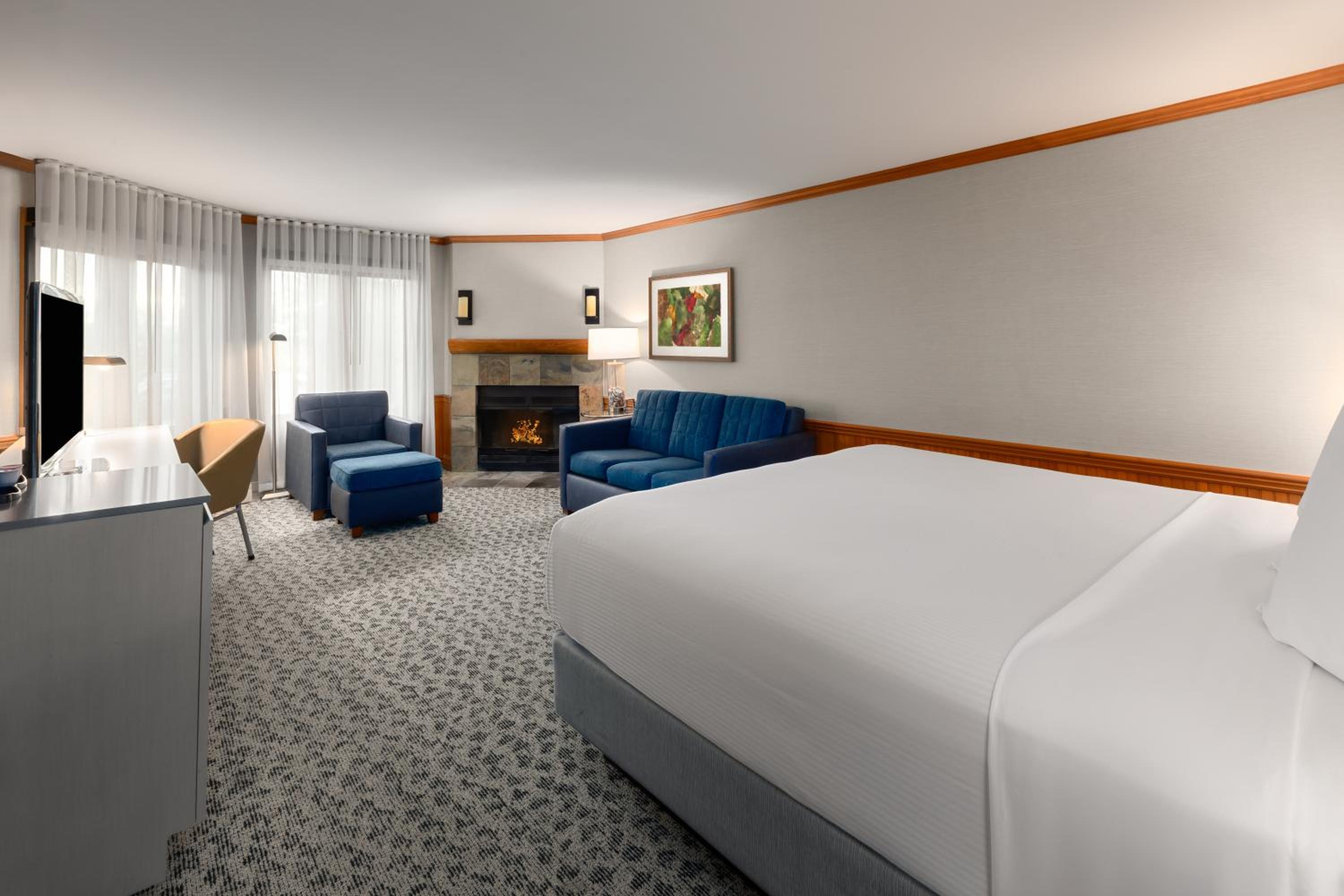 Premier King Room with Fireplace - Non-Smoking - Photo 1