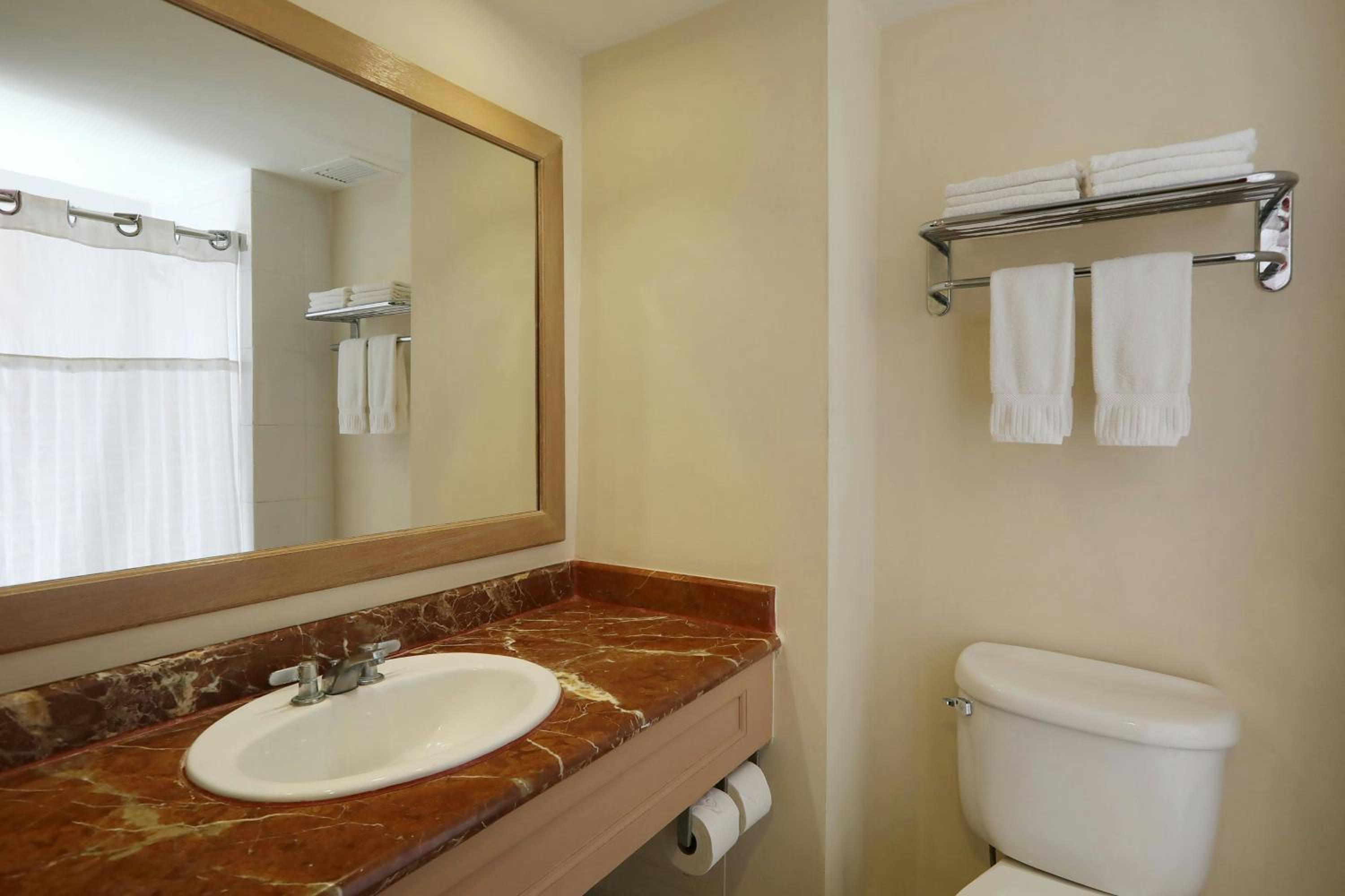 Standard Double Room with Two Double Beds