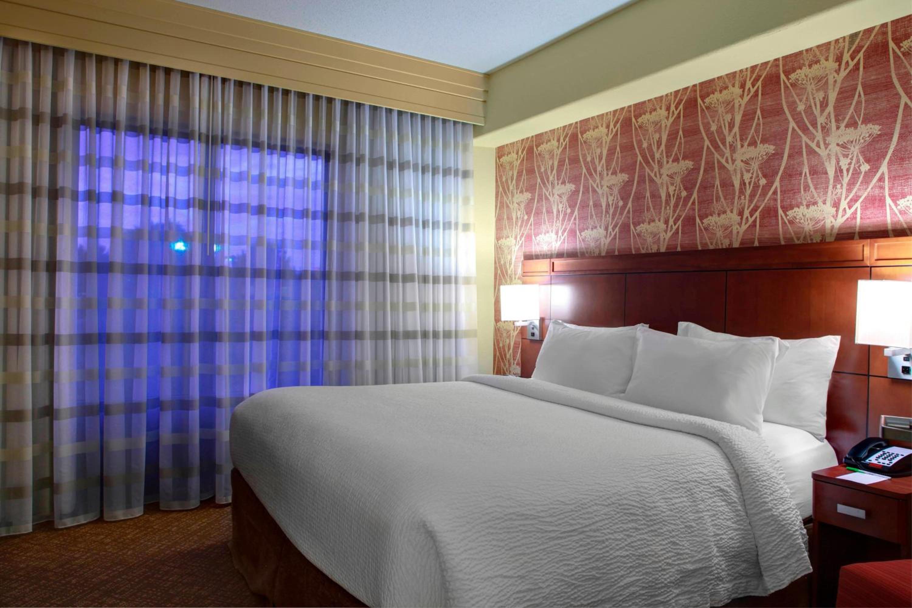 One-Bedroom King Suite with Sofa Bed