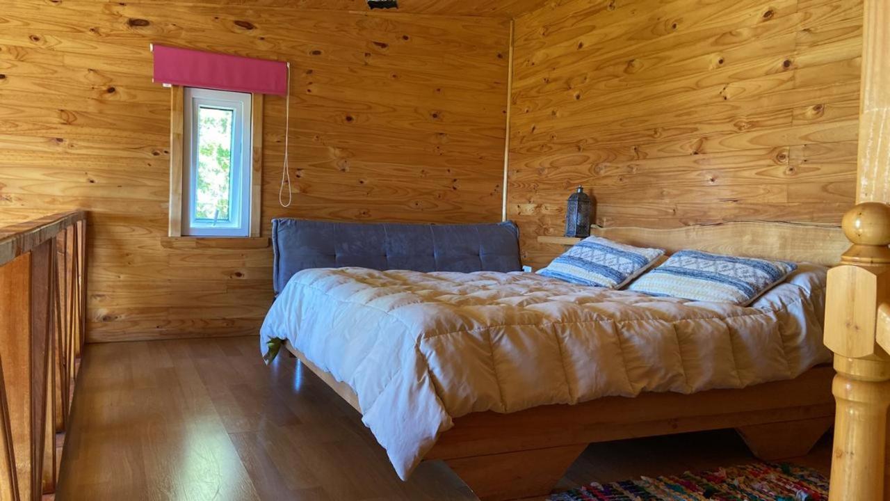 One-Bedroom House photo 3