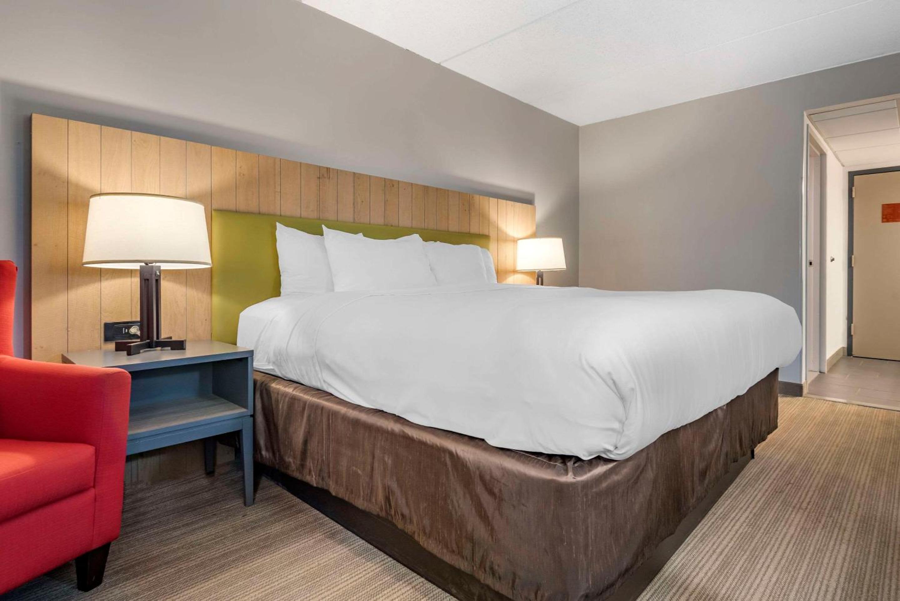 King Room - Non Smoking/Pet Friendly - Photo 2