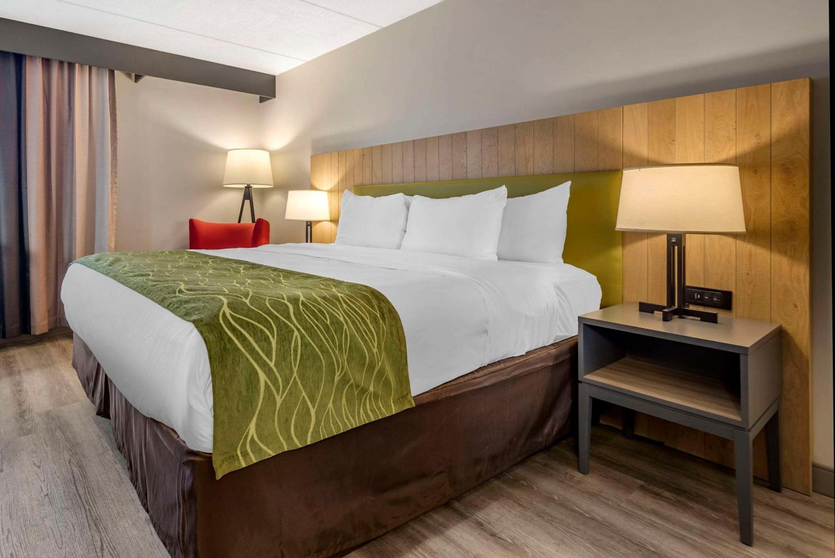 King Room - Non Smoking/Pet Friendly - Photo 1