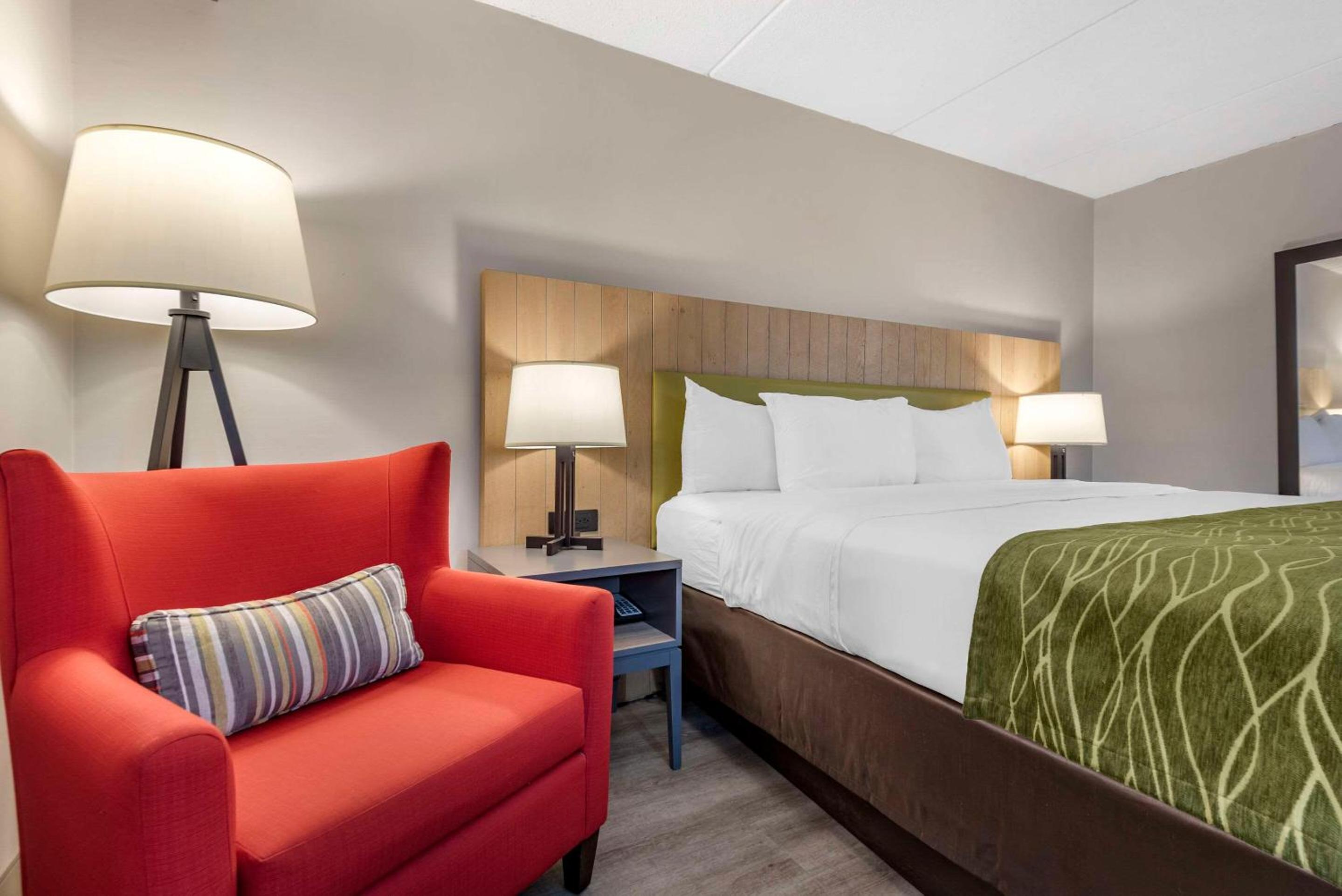 King Room - Non Smoking/Pet Friendly - Photo 3