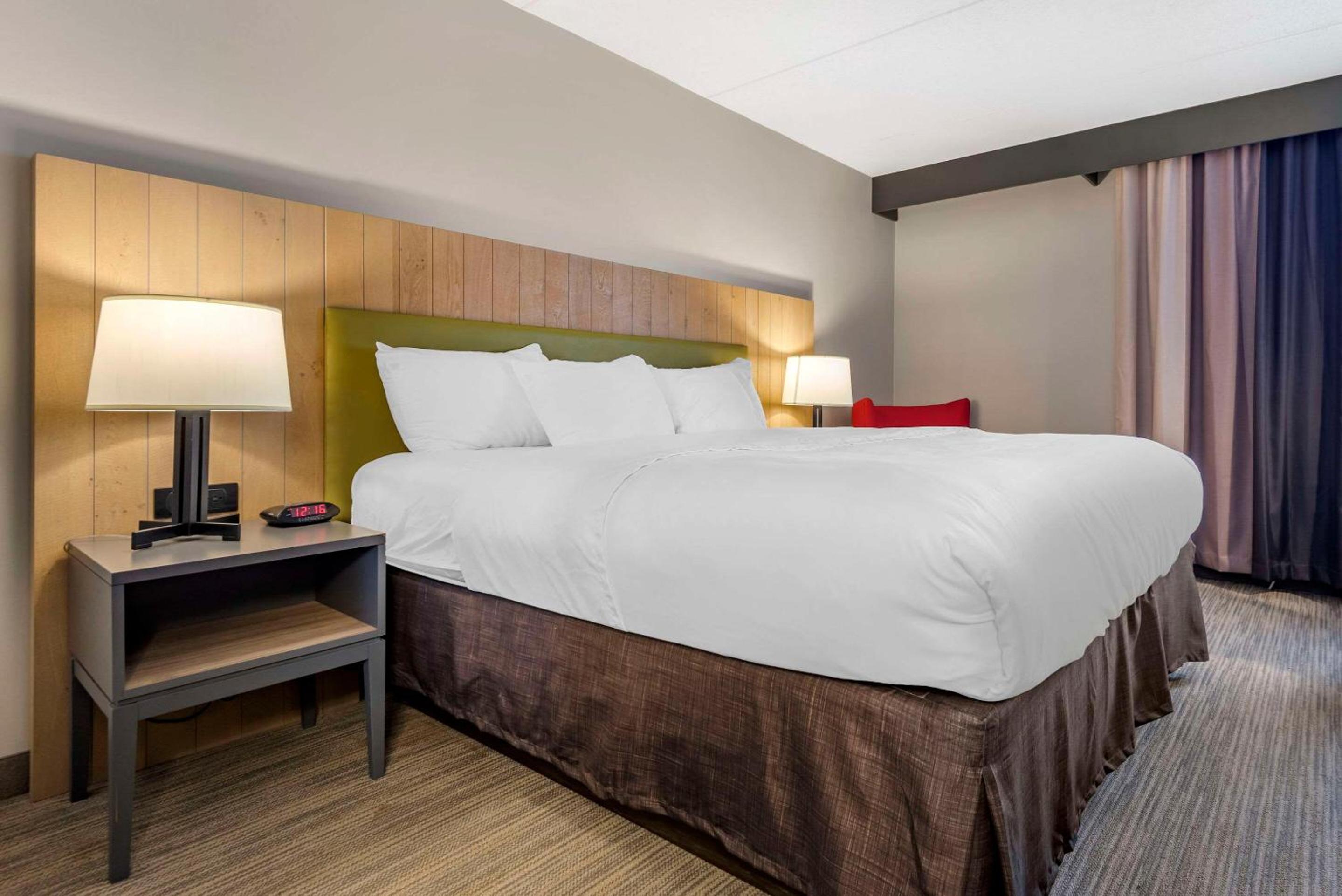 King Room - Non Smoking/Pet Friendly - Photo 4