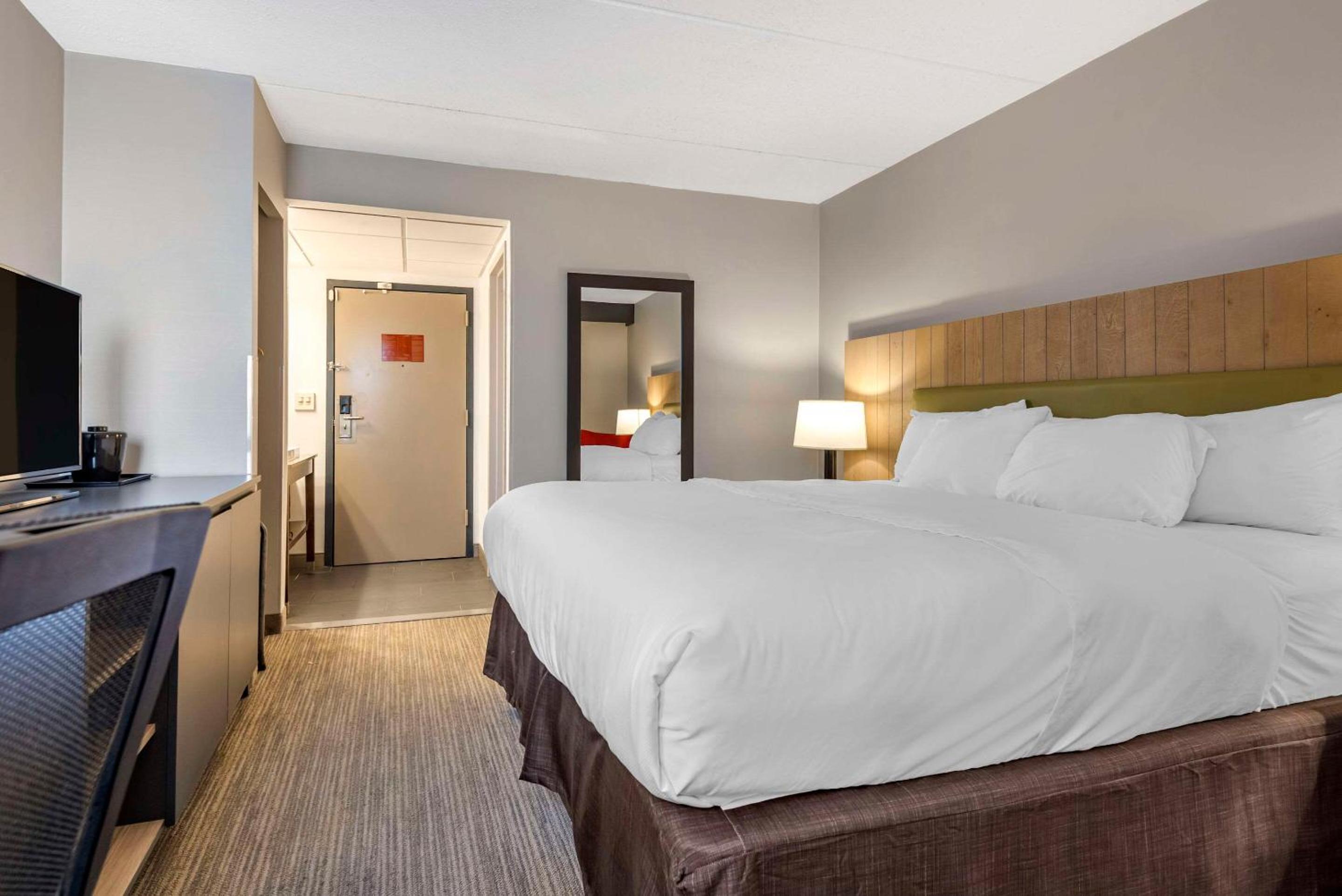King Room - Non Smoking/Pet Friendly - Photo 5