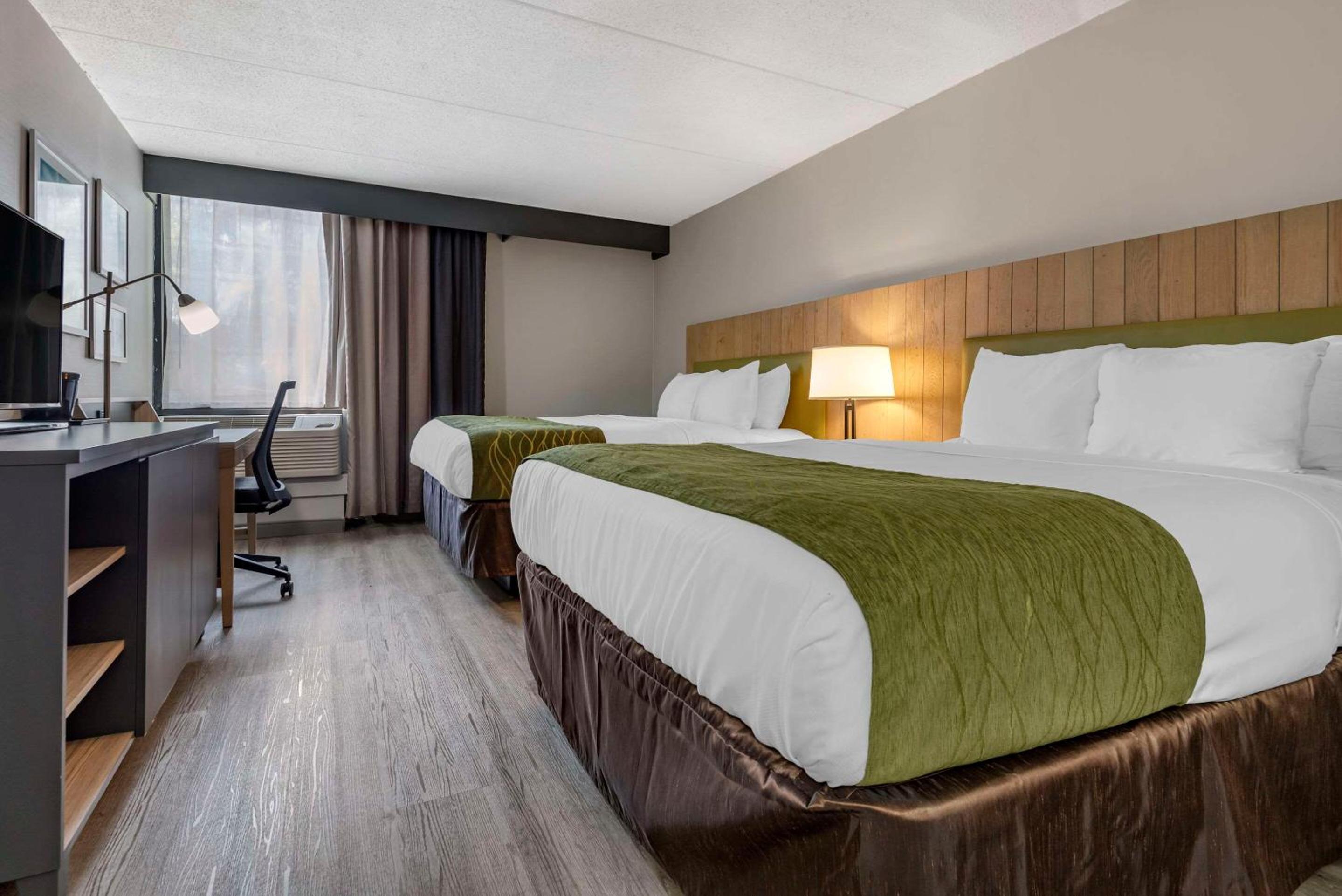 Quadruple Room with Two Queen Beds - Non Smoking/Pet Friendly - Photo 1