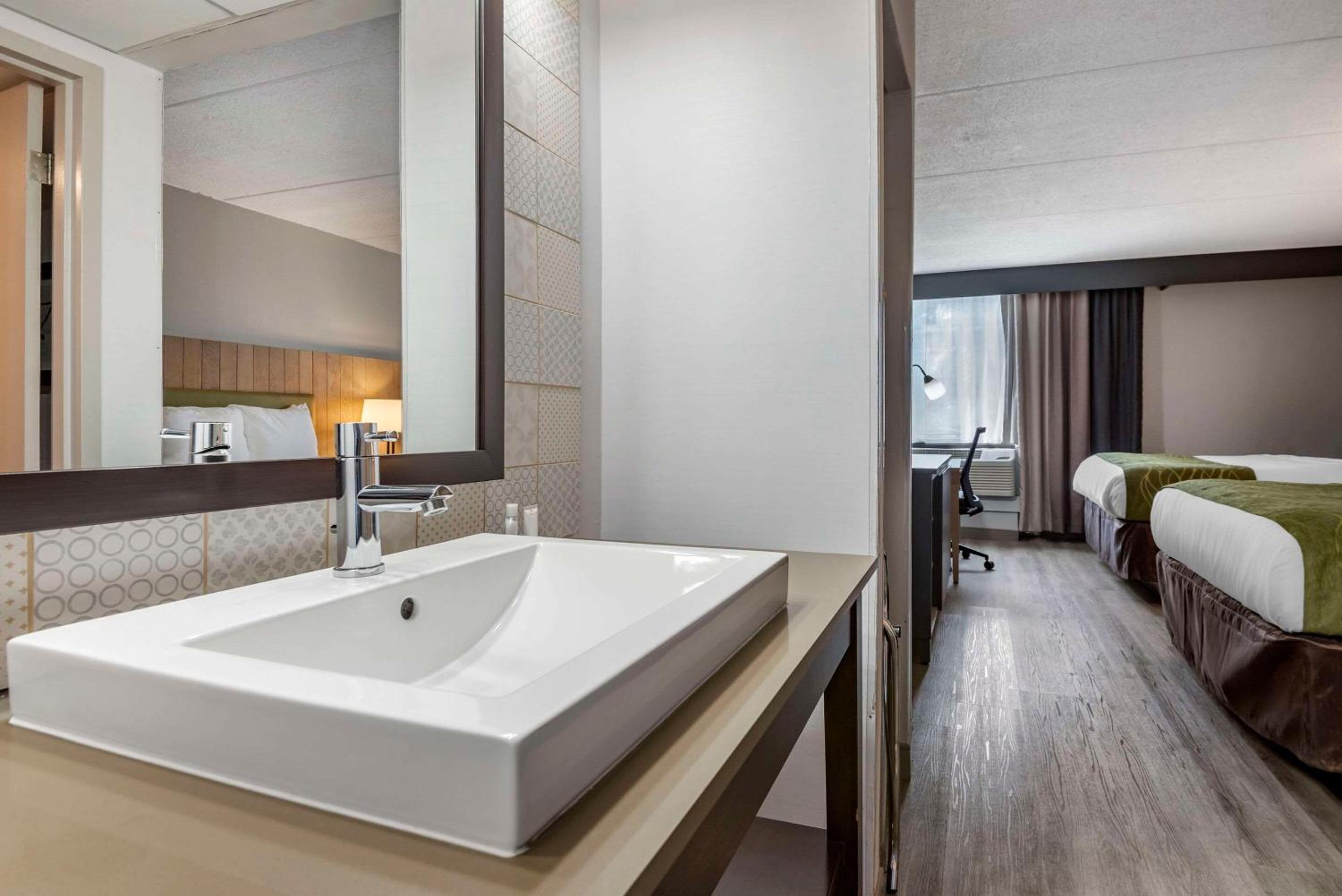 King Room - Non Smoking/Pet Friendly - Photo 6
