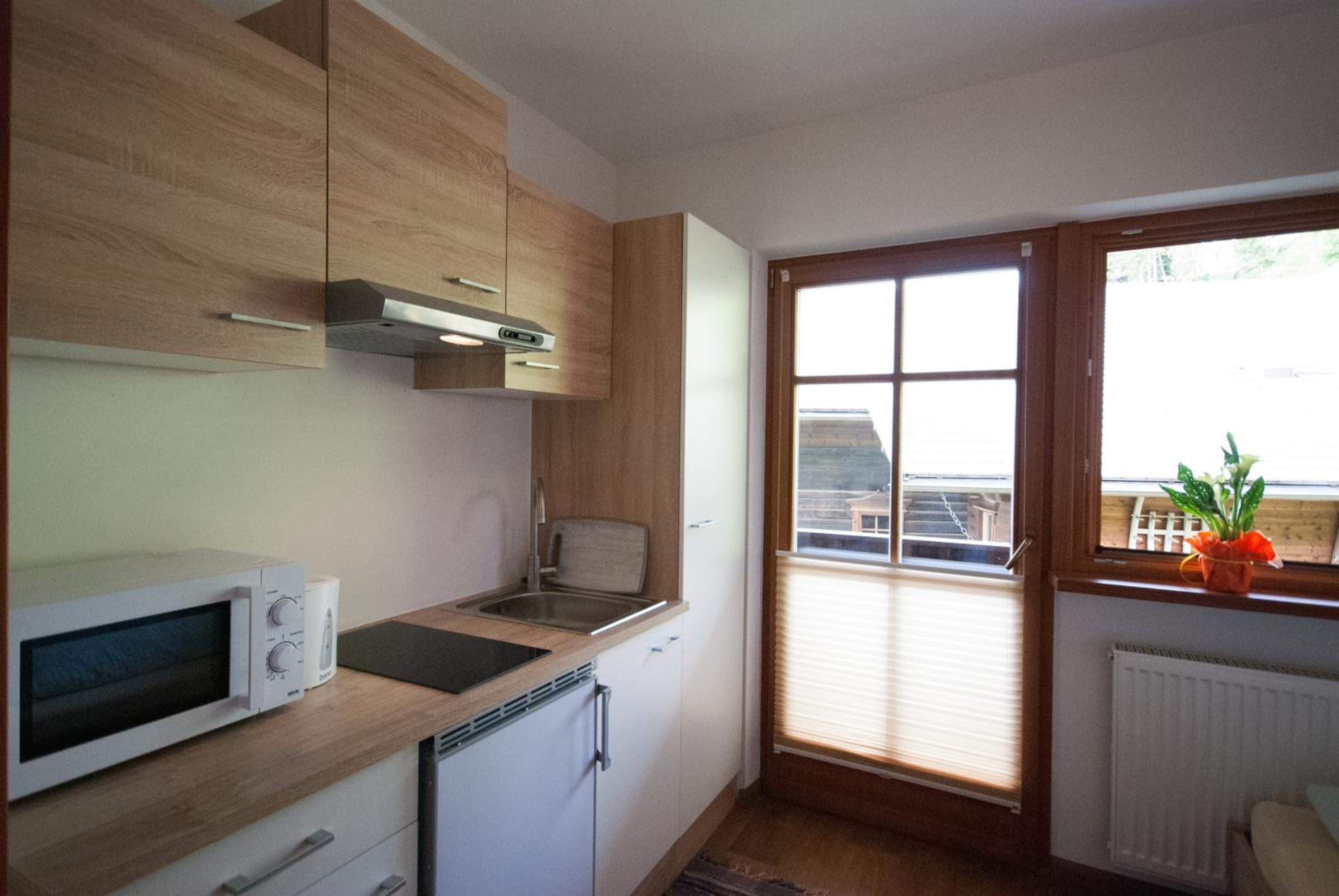 One-Bedroom Apartment with Balcony