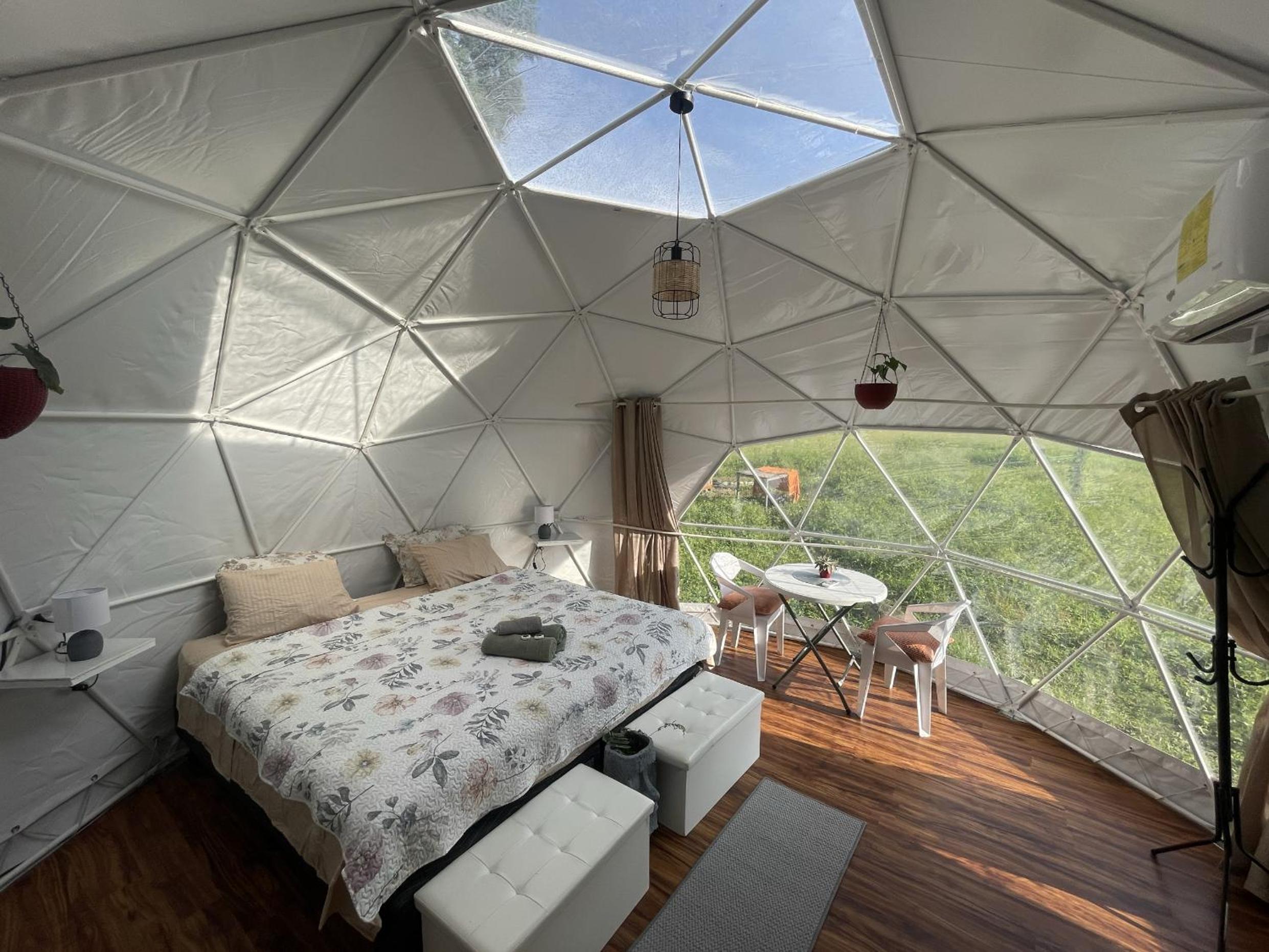 King Room with Garden View photo 1