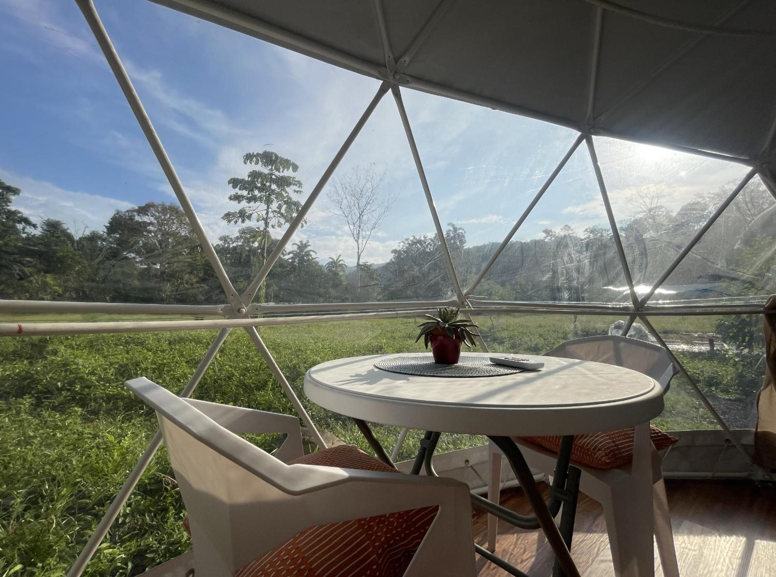 King Room with Garden View photo 1