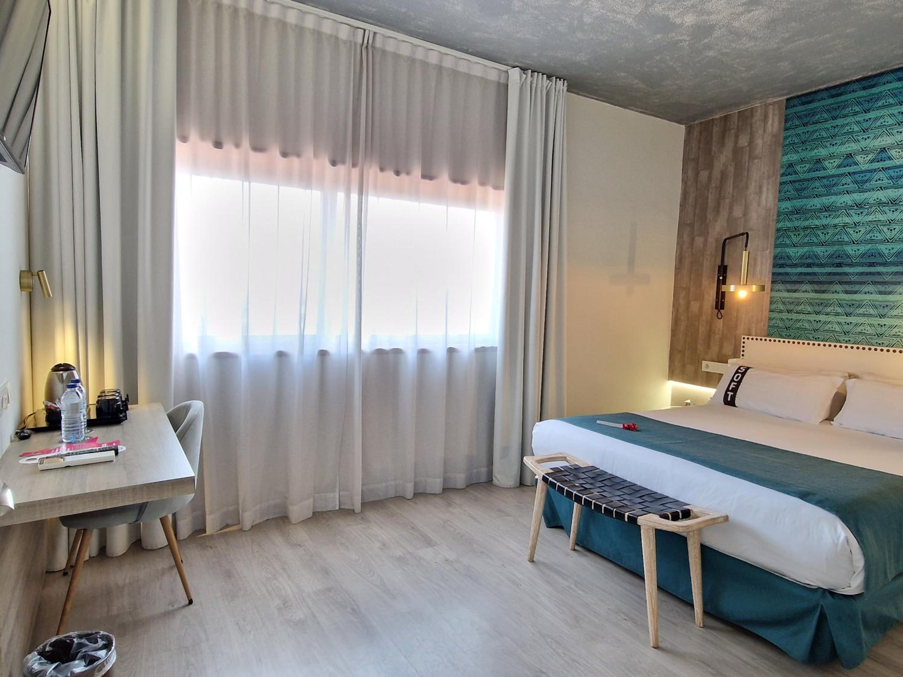 Suite - Photo 8