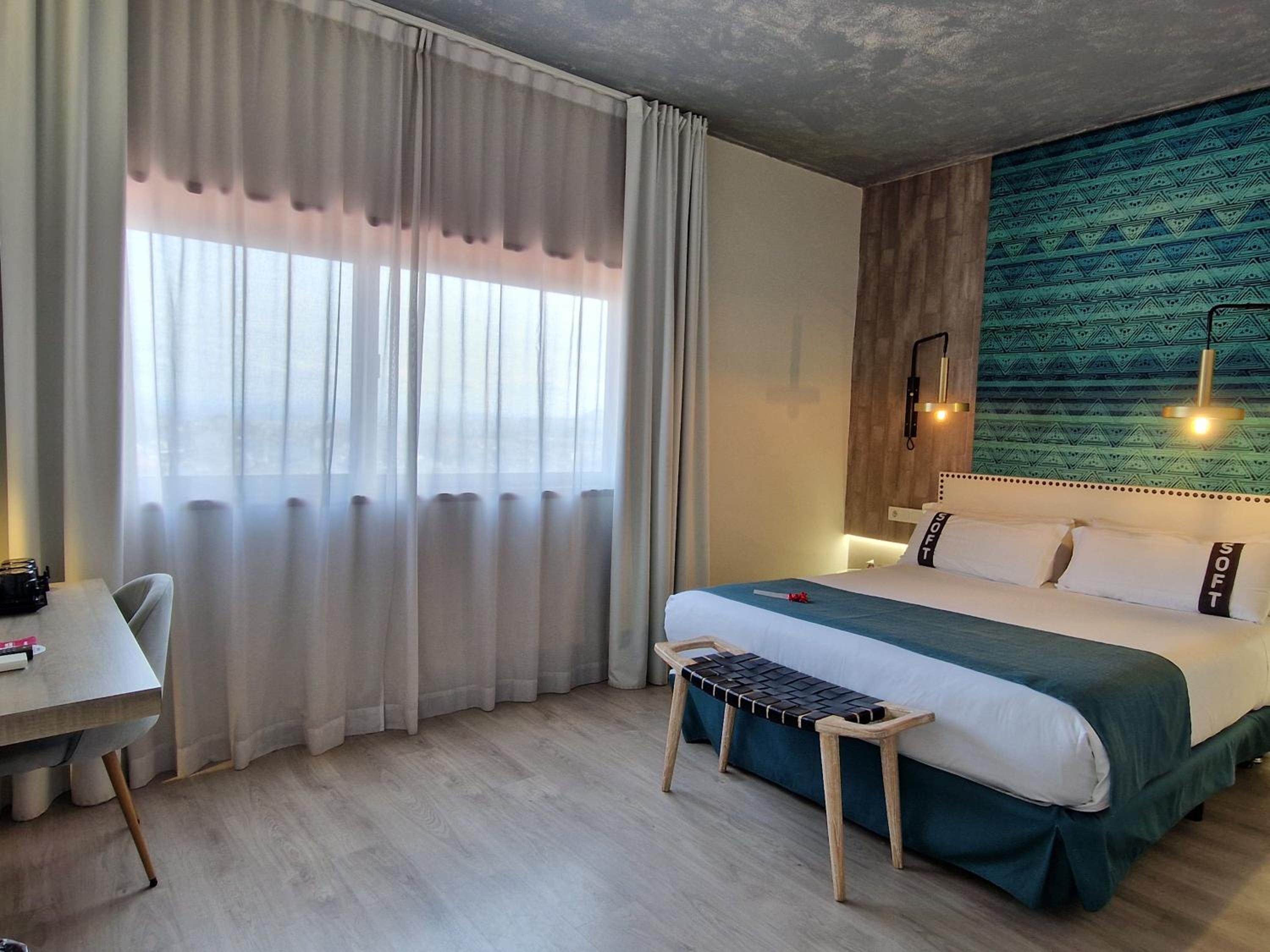 Suite - Photo 3