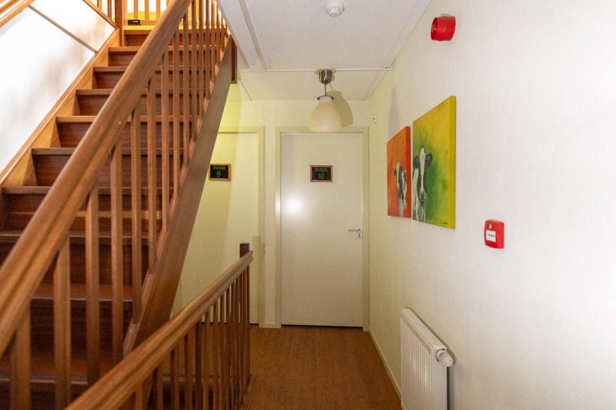 Budget Twin Room photo 2
