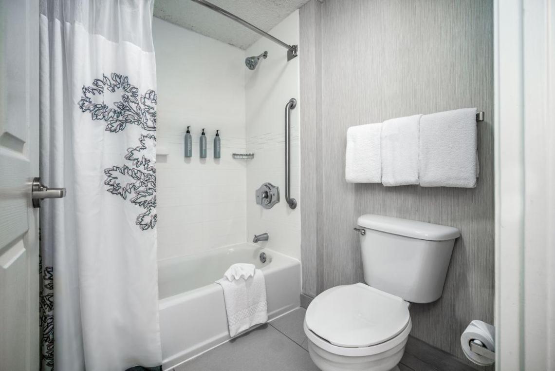 Two-Bedroom Suite with Roll-in Shower - Mobility and Hearing Accessible photo 2