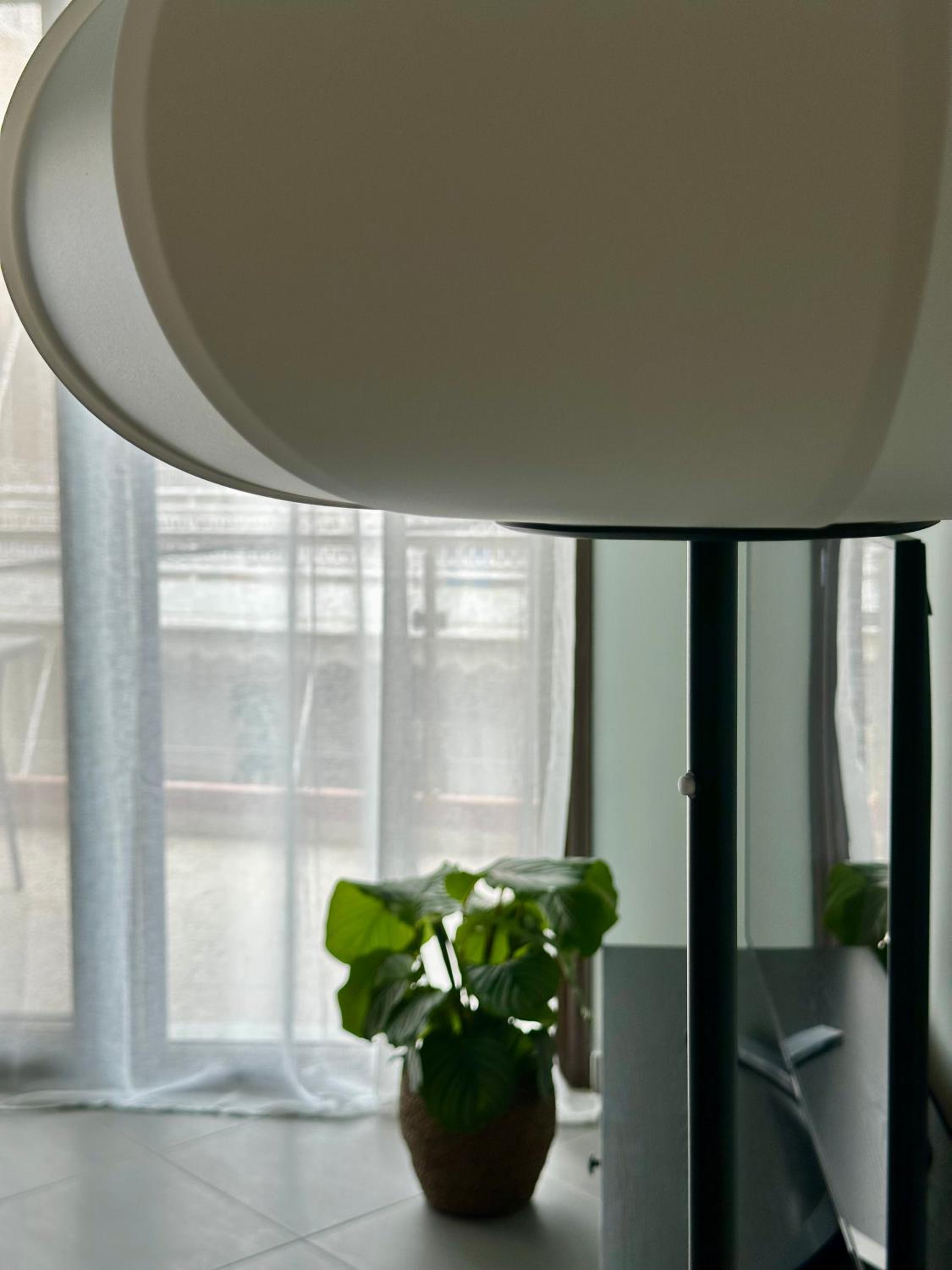 Apartment with Balcony photo 3