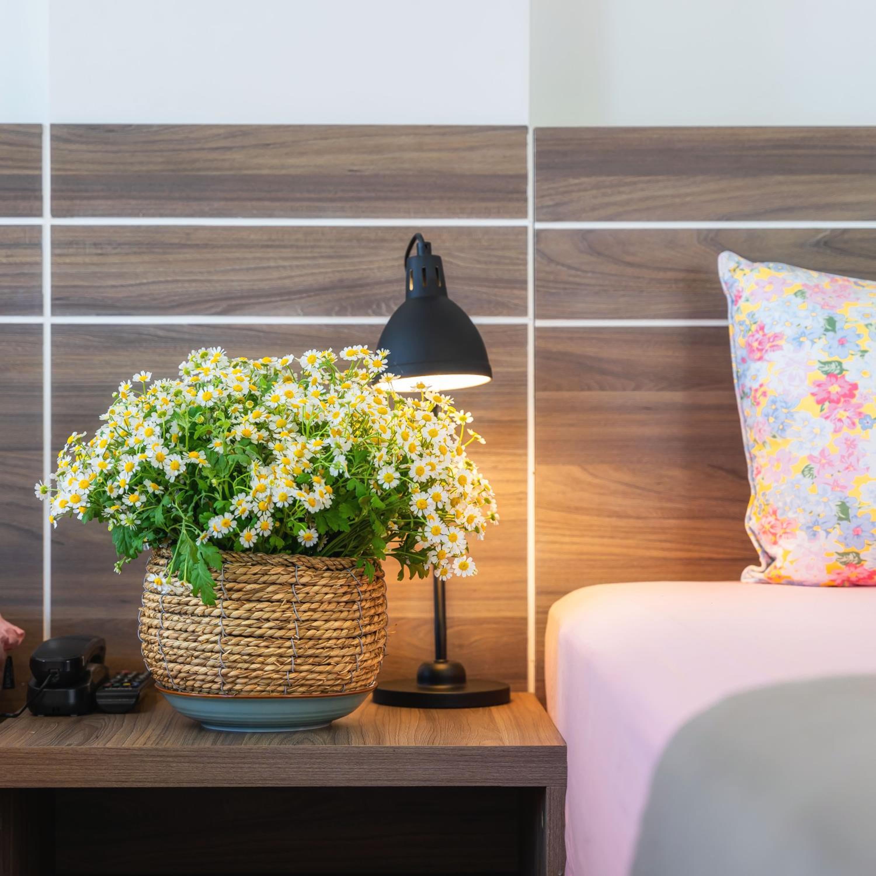 Superior Double or Twin Room - Photo 2