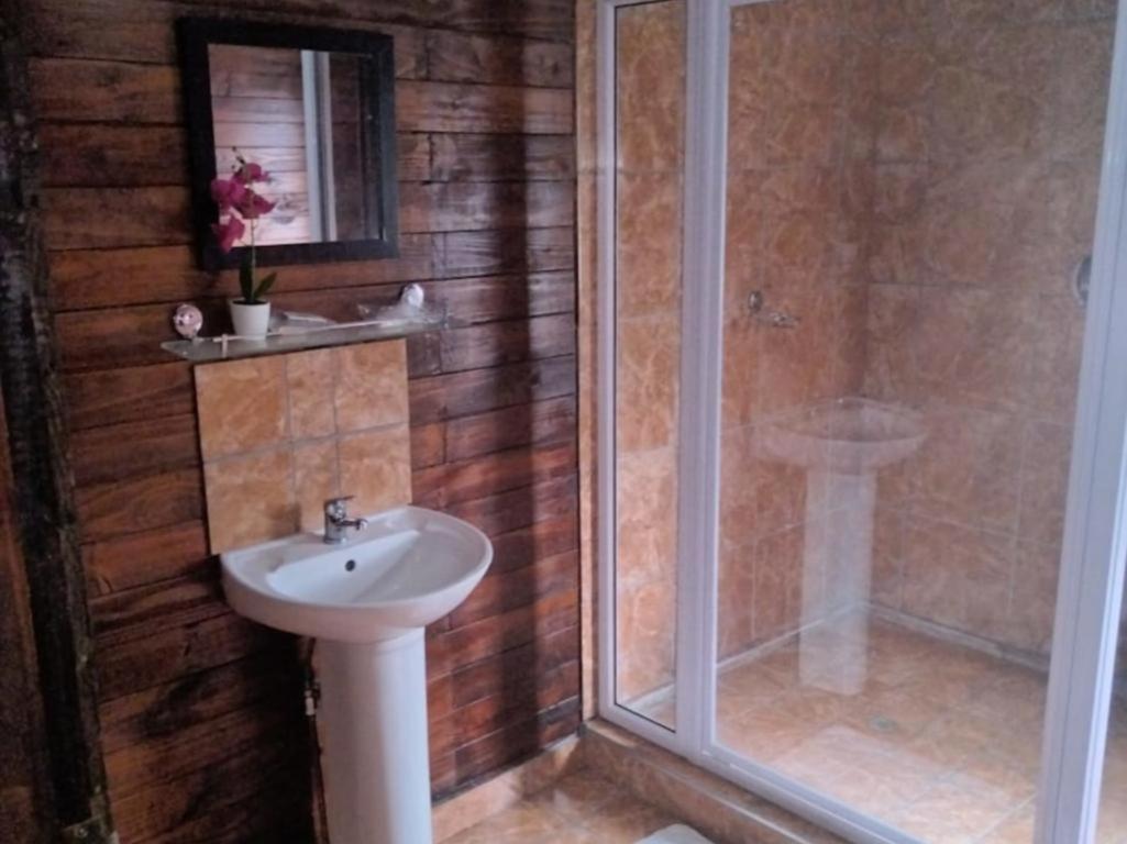 Standard Cabin - Photo 5