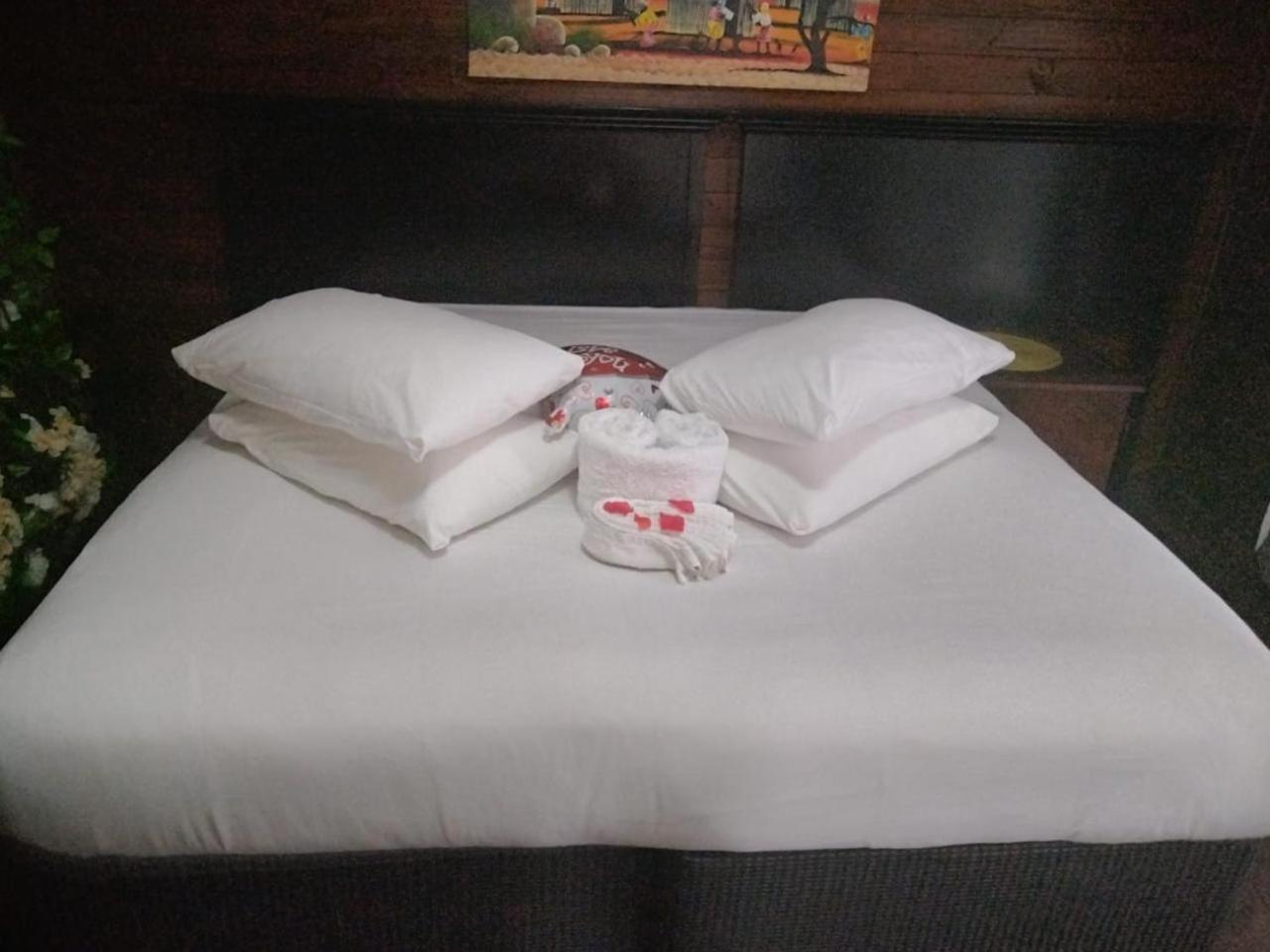 Standard Cabin - Photo 1