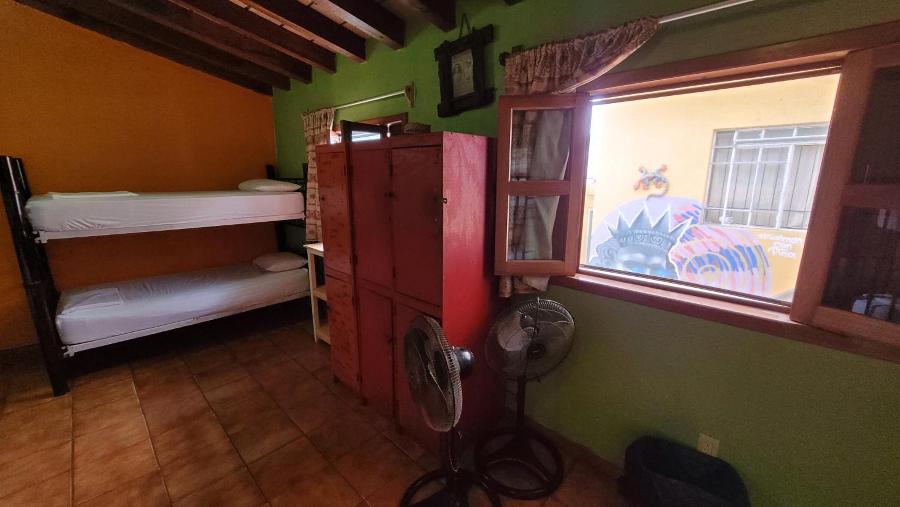 Single Bed in Mixed Dormitory Room photo 2