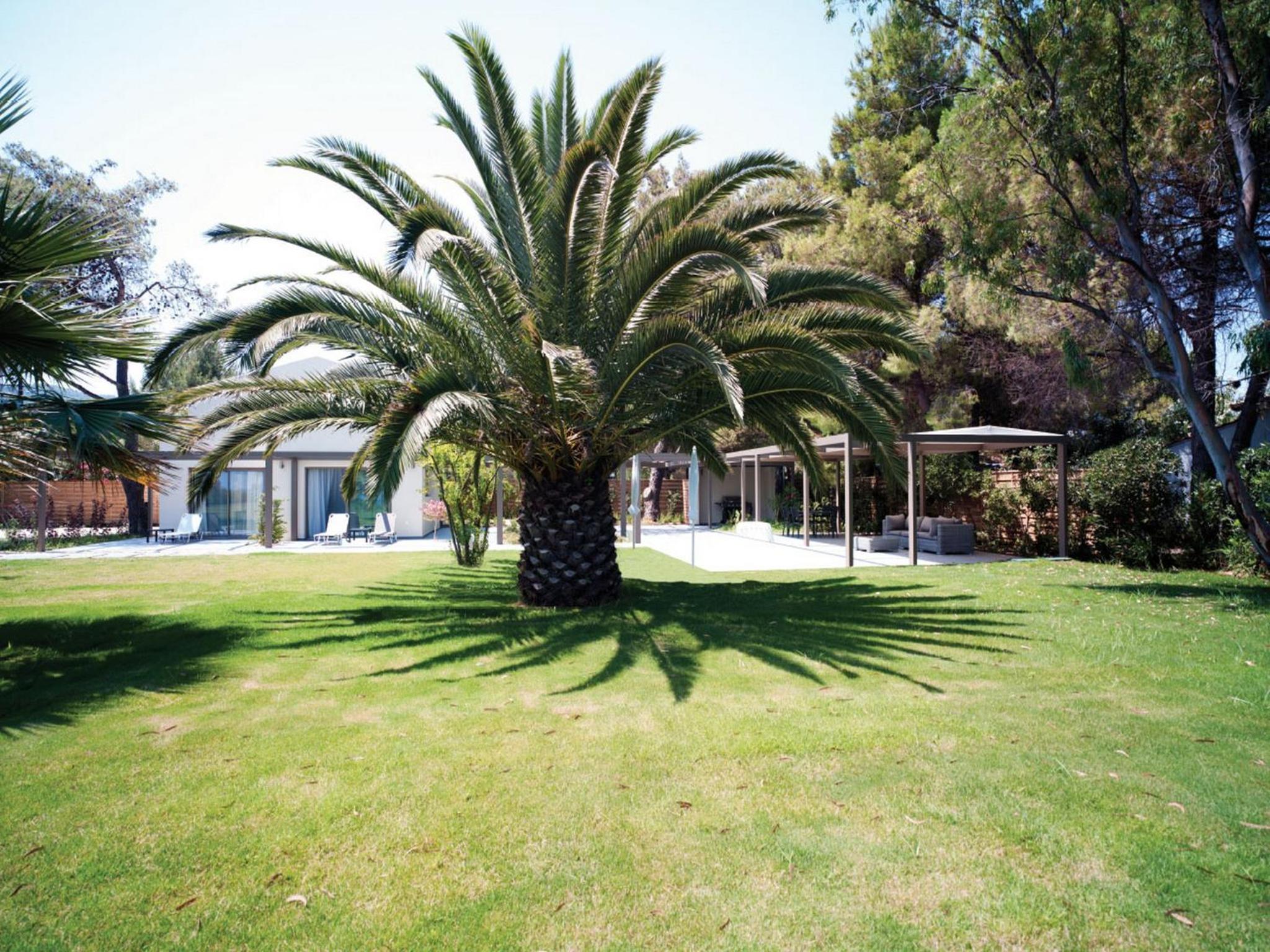 Villa - Beach Front photo 3