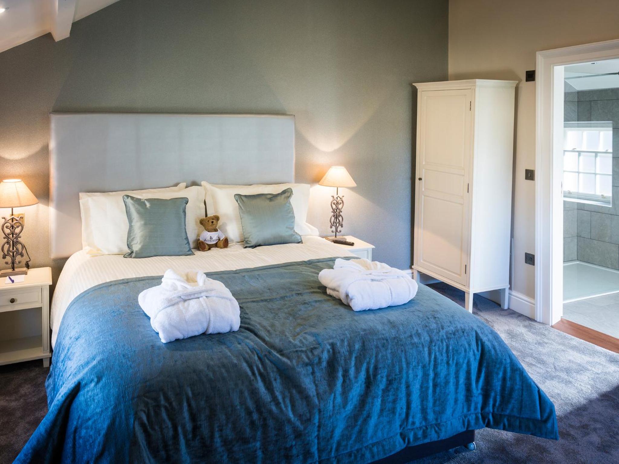 Deluxe Double or Twin Room photo 3