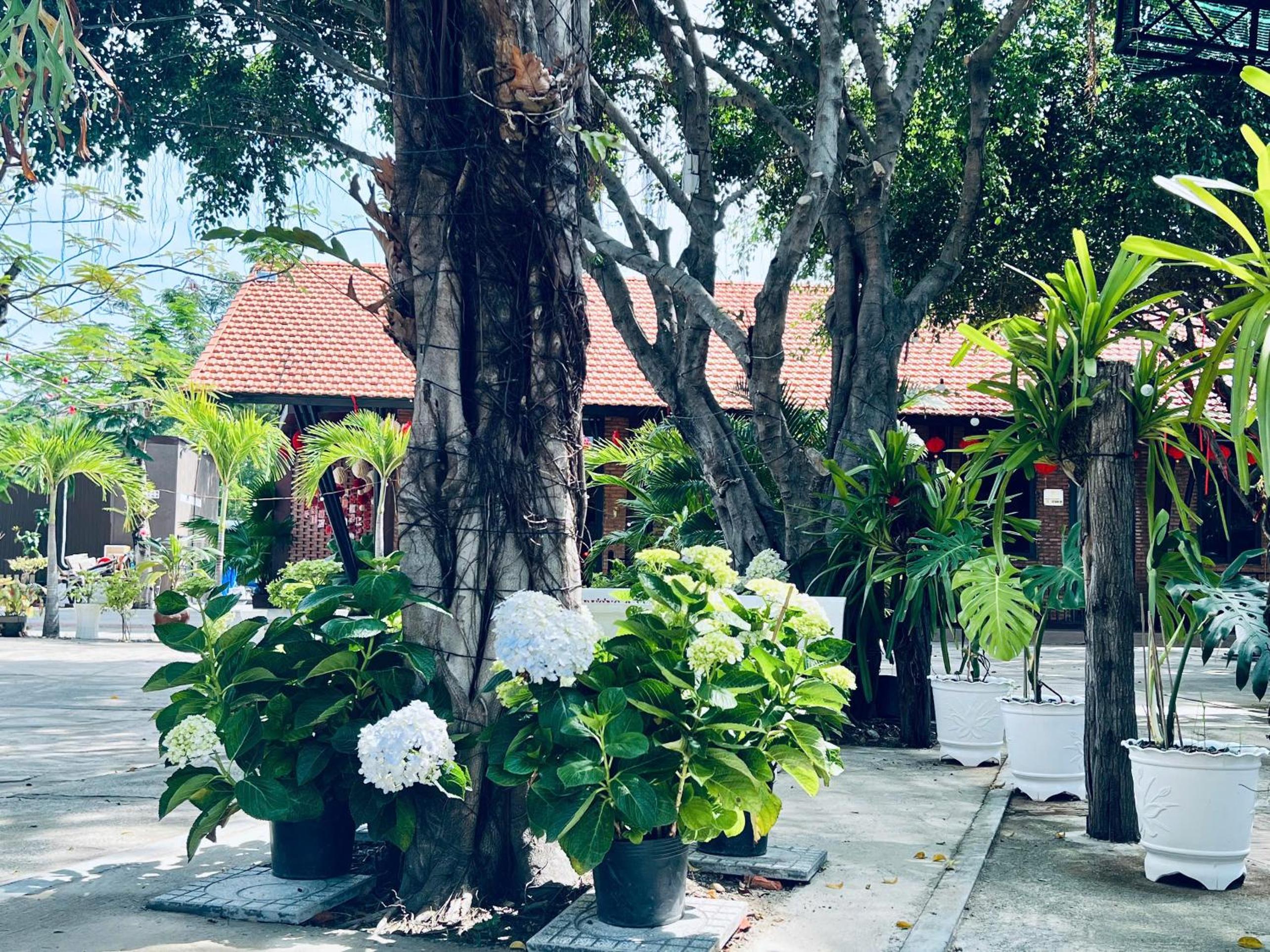 Family Bungalow
