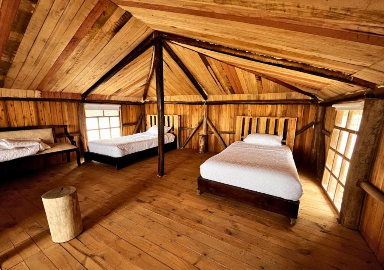 Family Suite photo 3