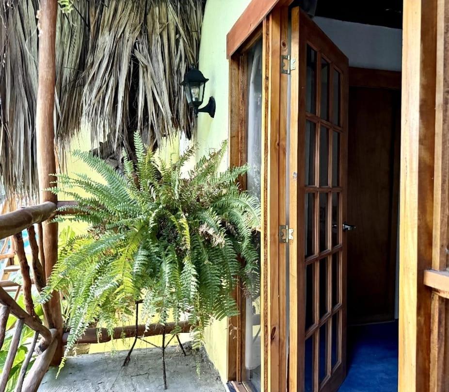 Standard Double Room with Fan photo 3