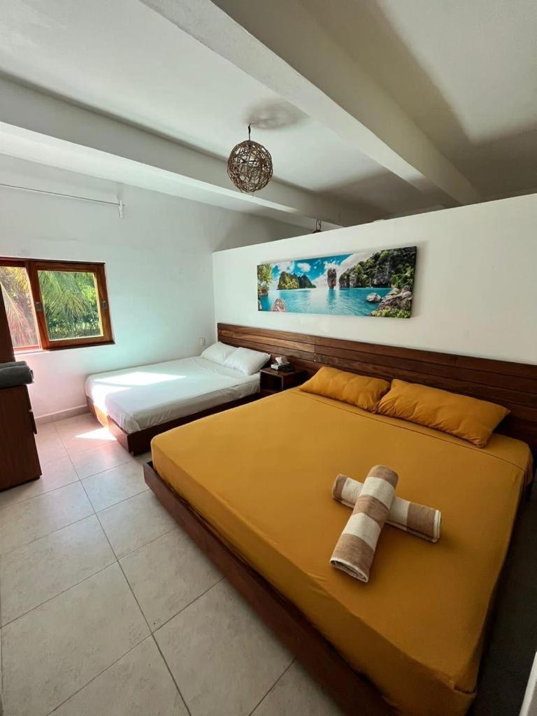 Family Suite - Photo 4