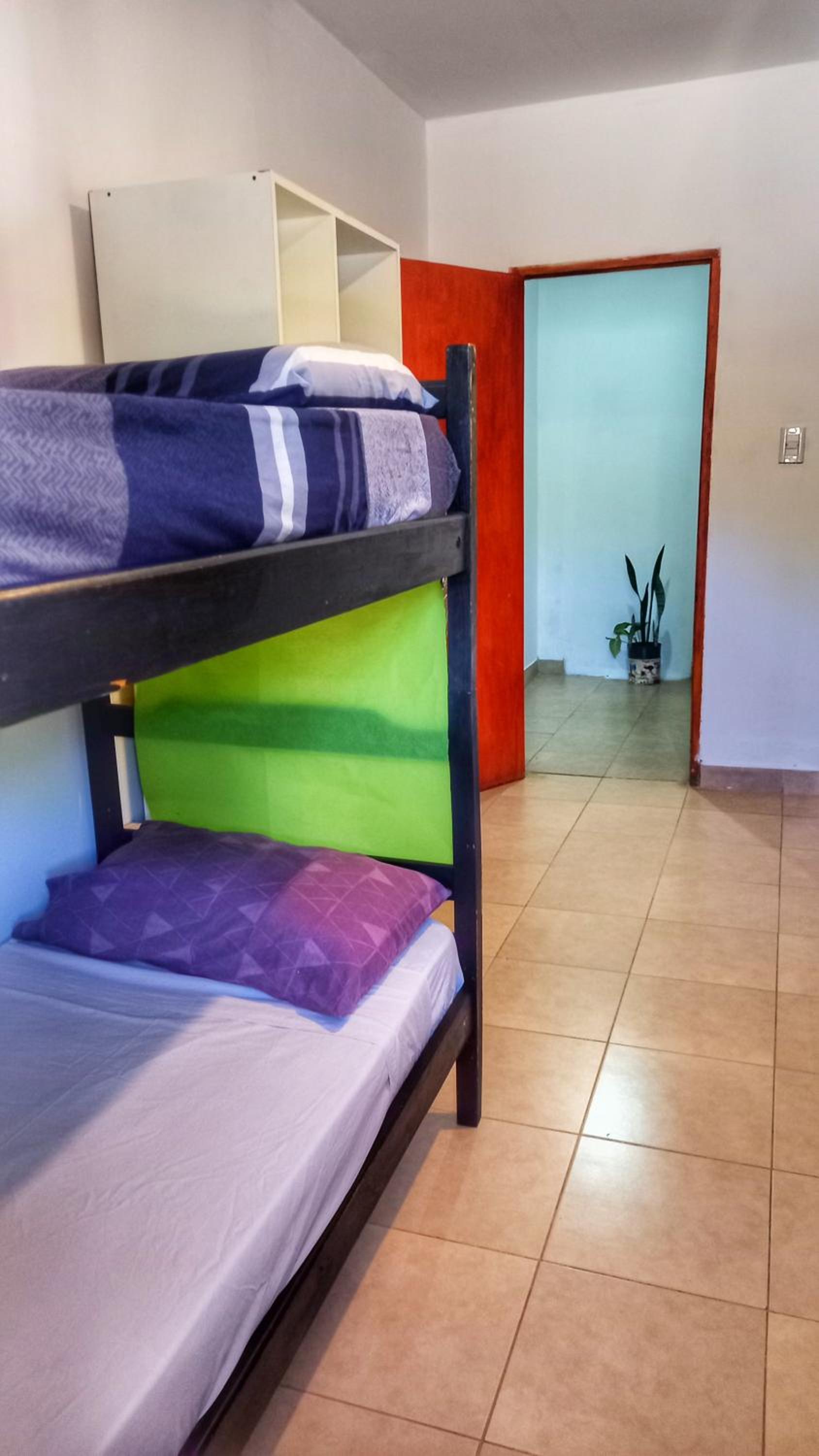 Single Bed in 4-Bed Dormitory Room