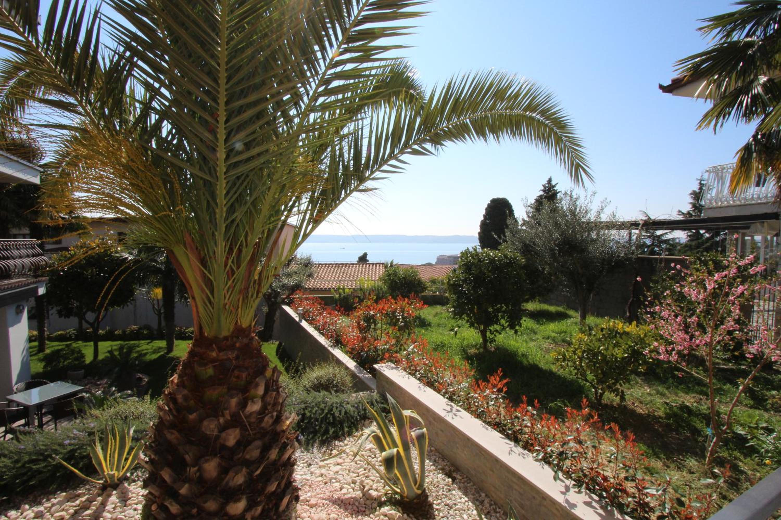 Suite with Sea View photo 3