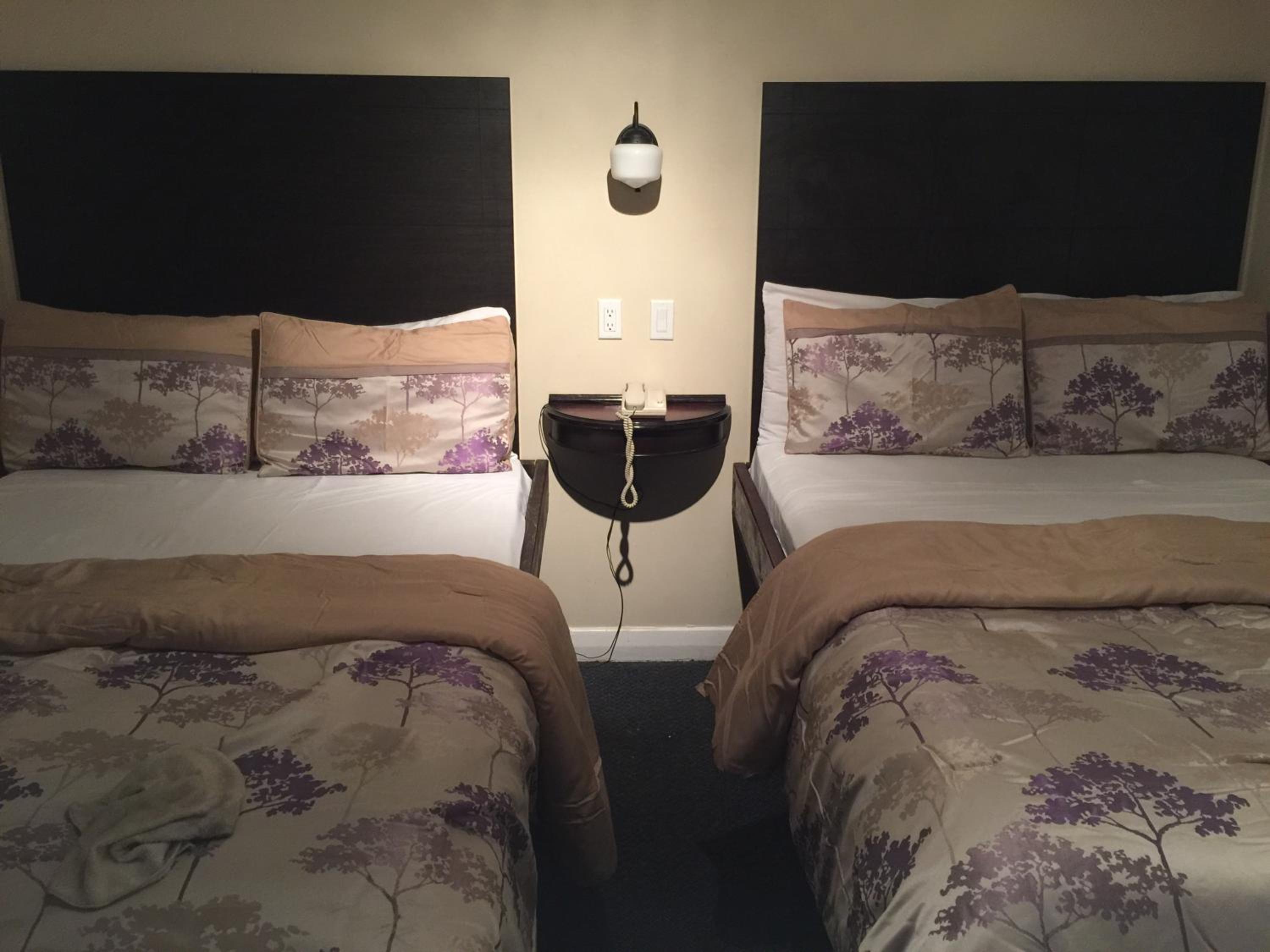 Large Double Room photo 3