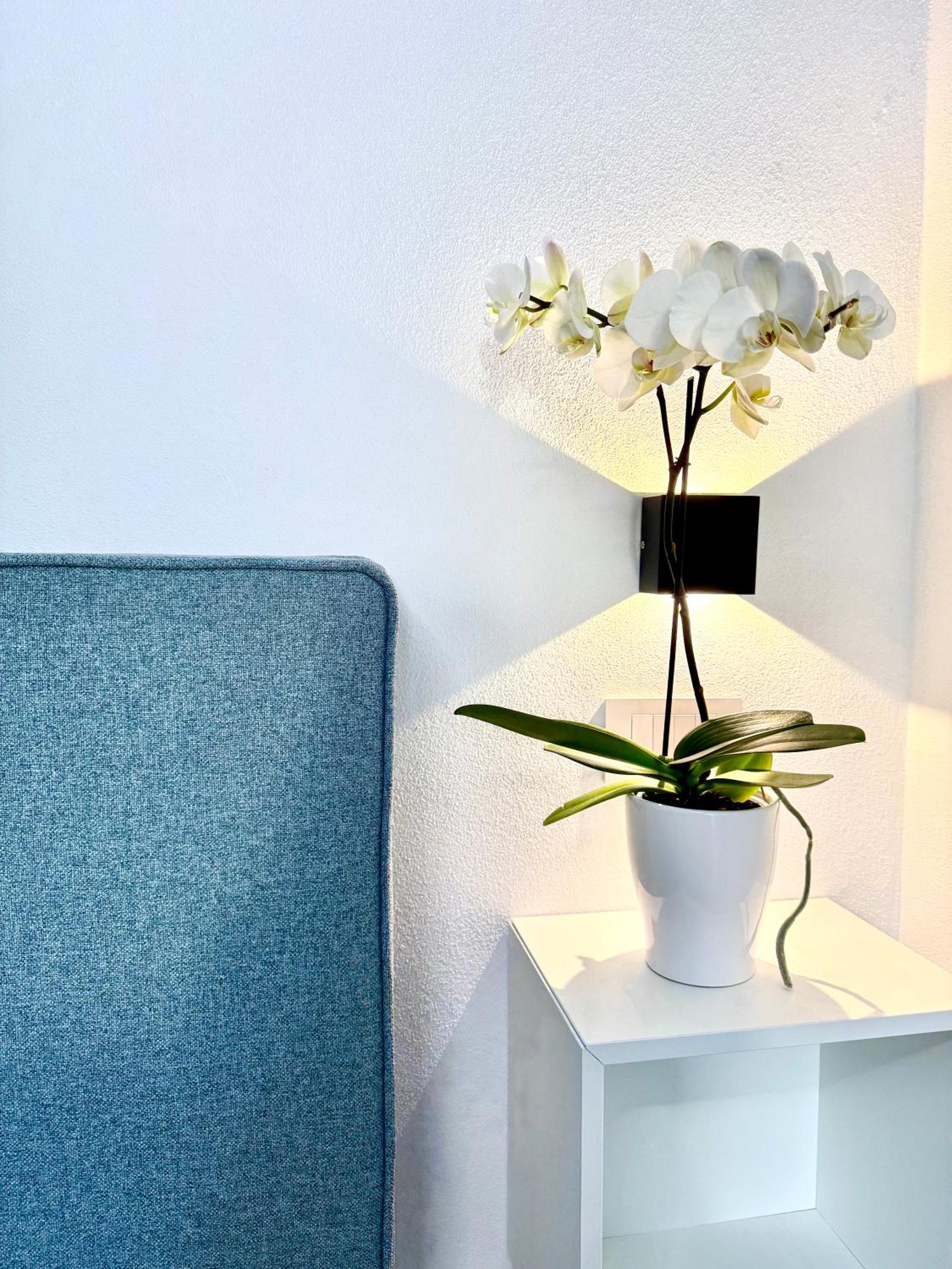 Studio Apartment photo 1