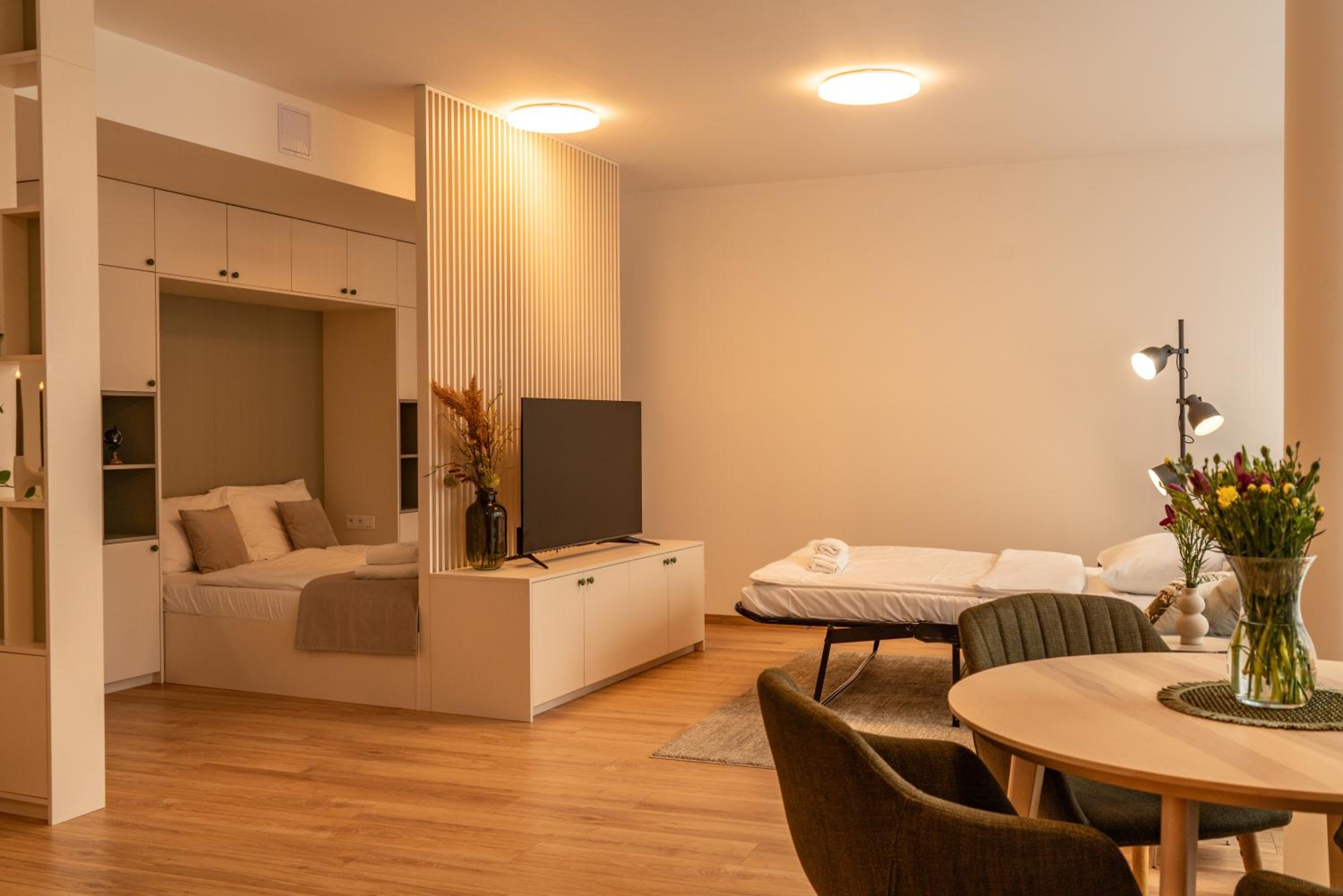 Studio Apartment photo 2