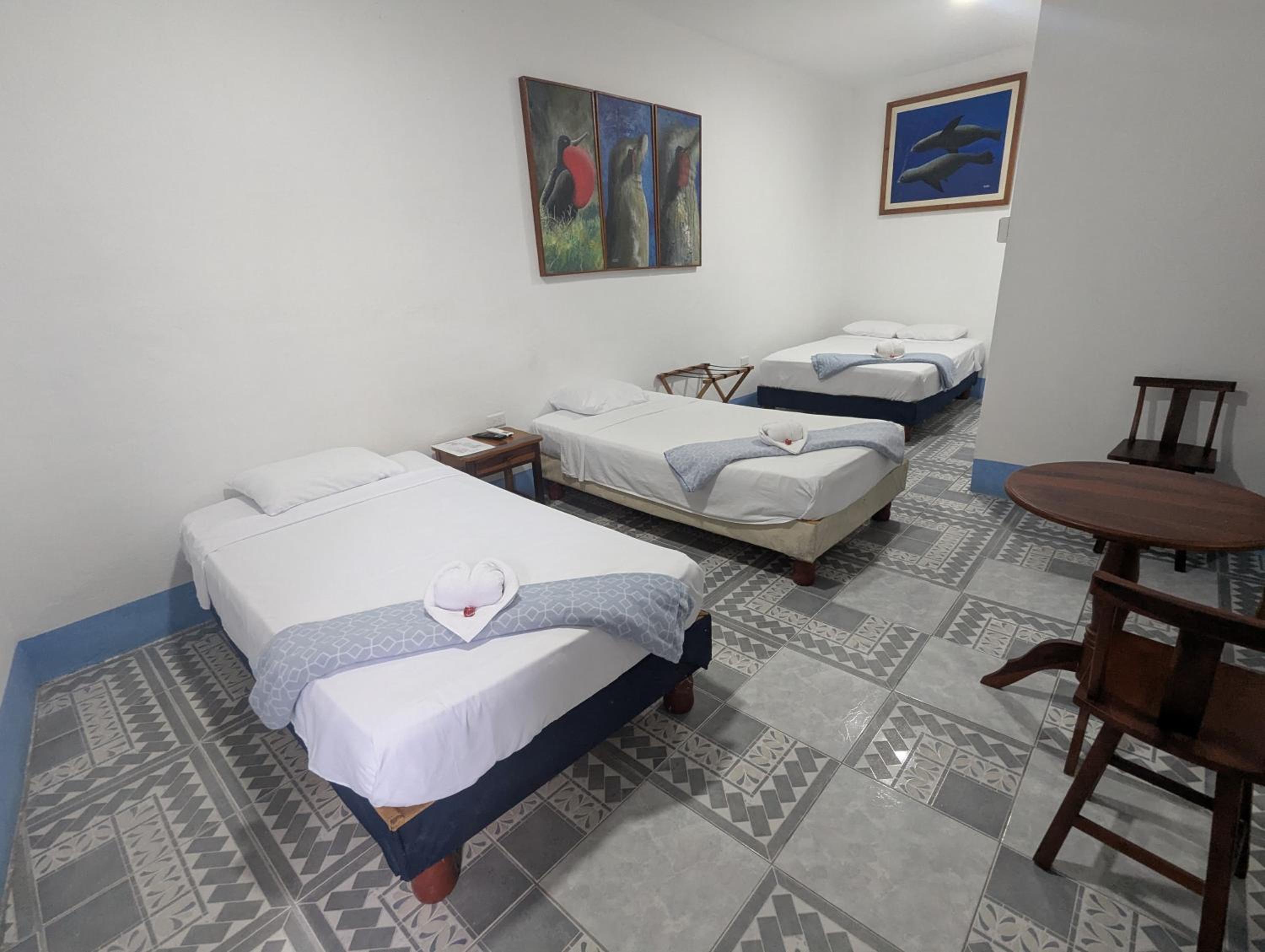 Bed in 4-Bed  Male Dormitory Room photo 3